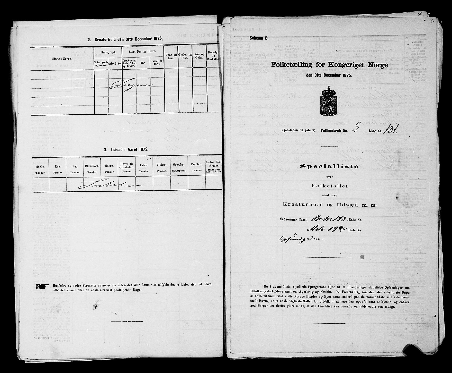 RA, 1875 census for 0102P Sarpsborg, 1875, p. 306