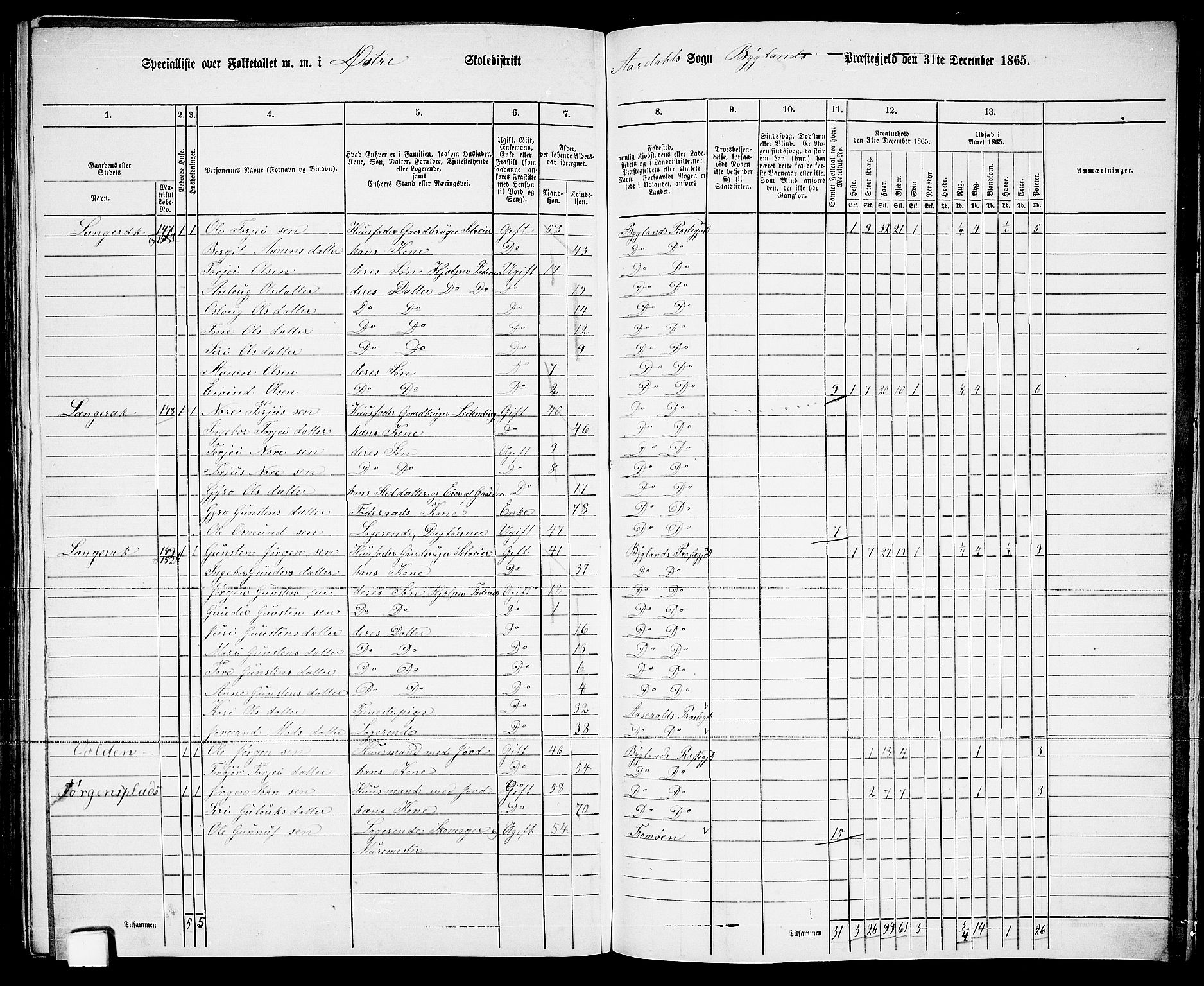 RA, 1865 census for Bygland, 1865, p. 80