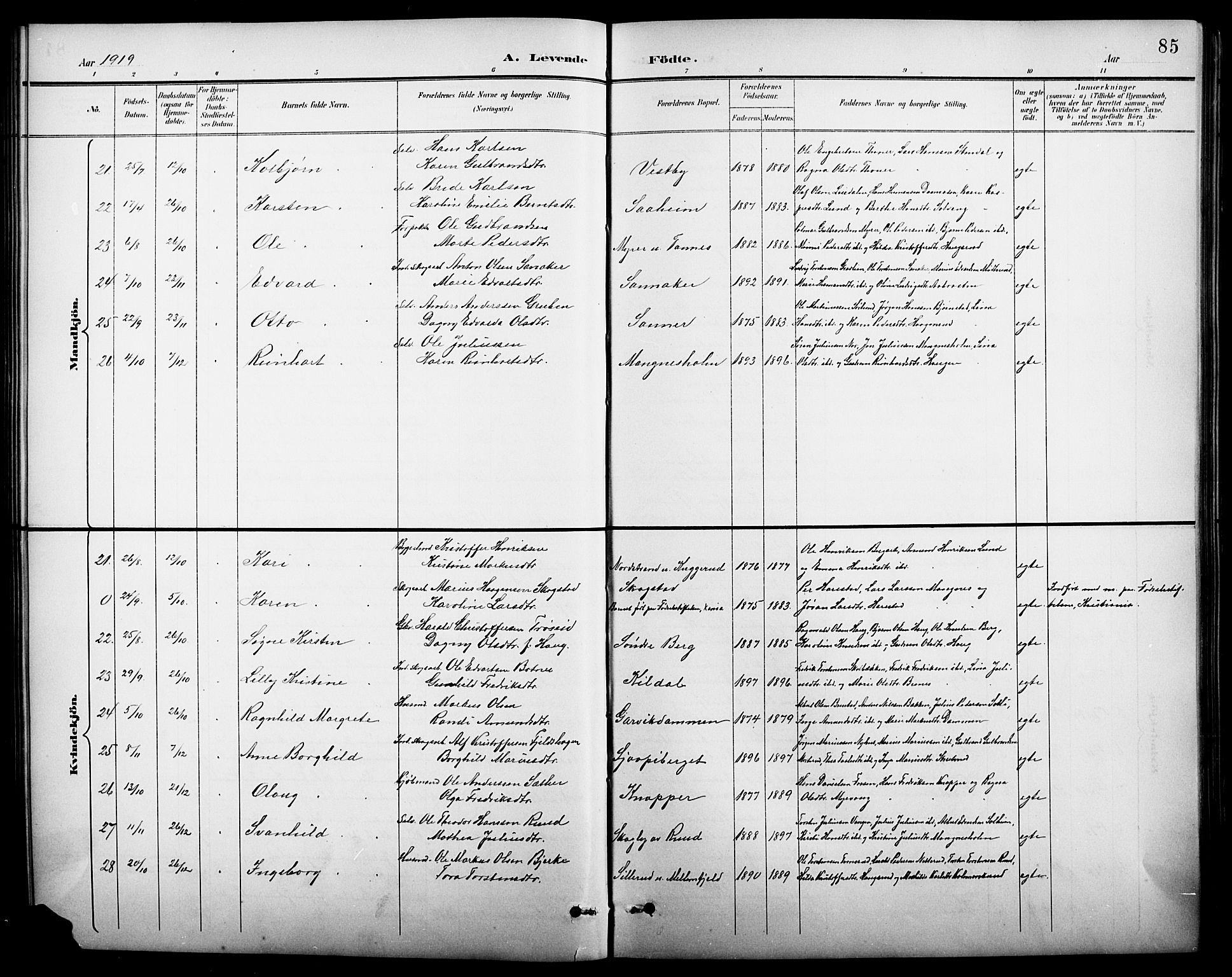 Nord-Odal prestekontor, SAH/PREST-032/H/Ha/Hab/L0002: Parish register (copy) no. 2, 1895-1921, p. 85