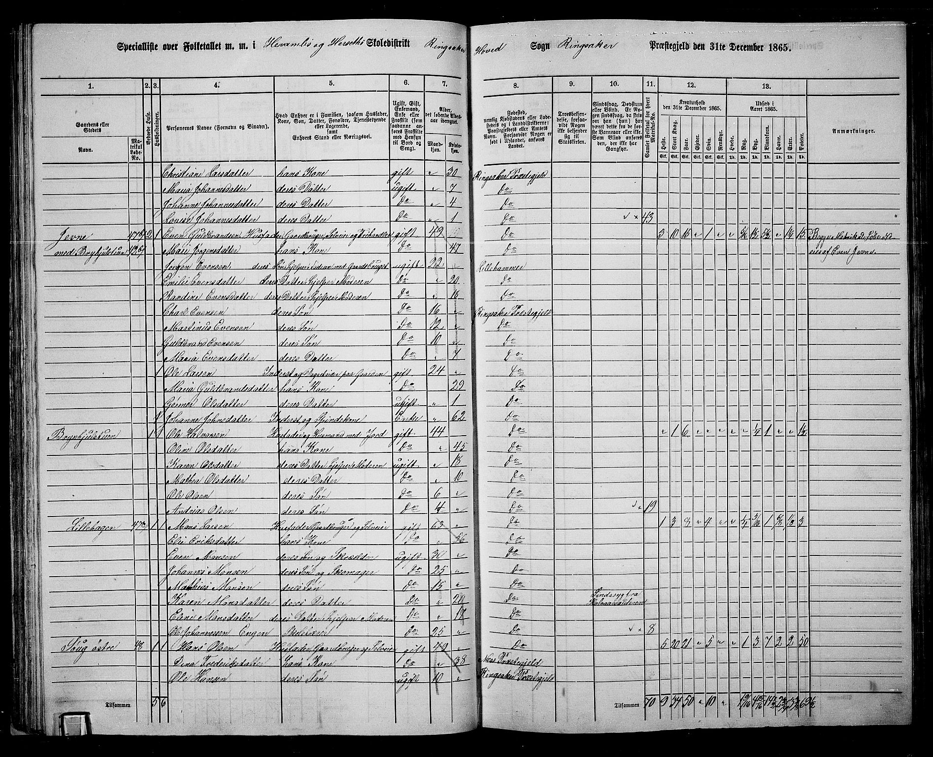 RA, 1865 census for Ringsaker, 1865, p. 69