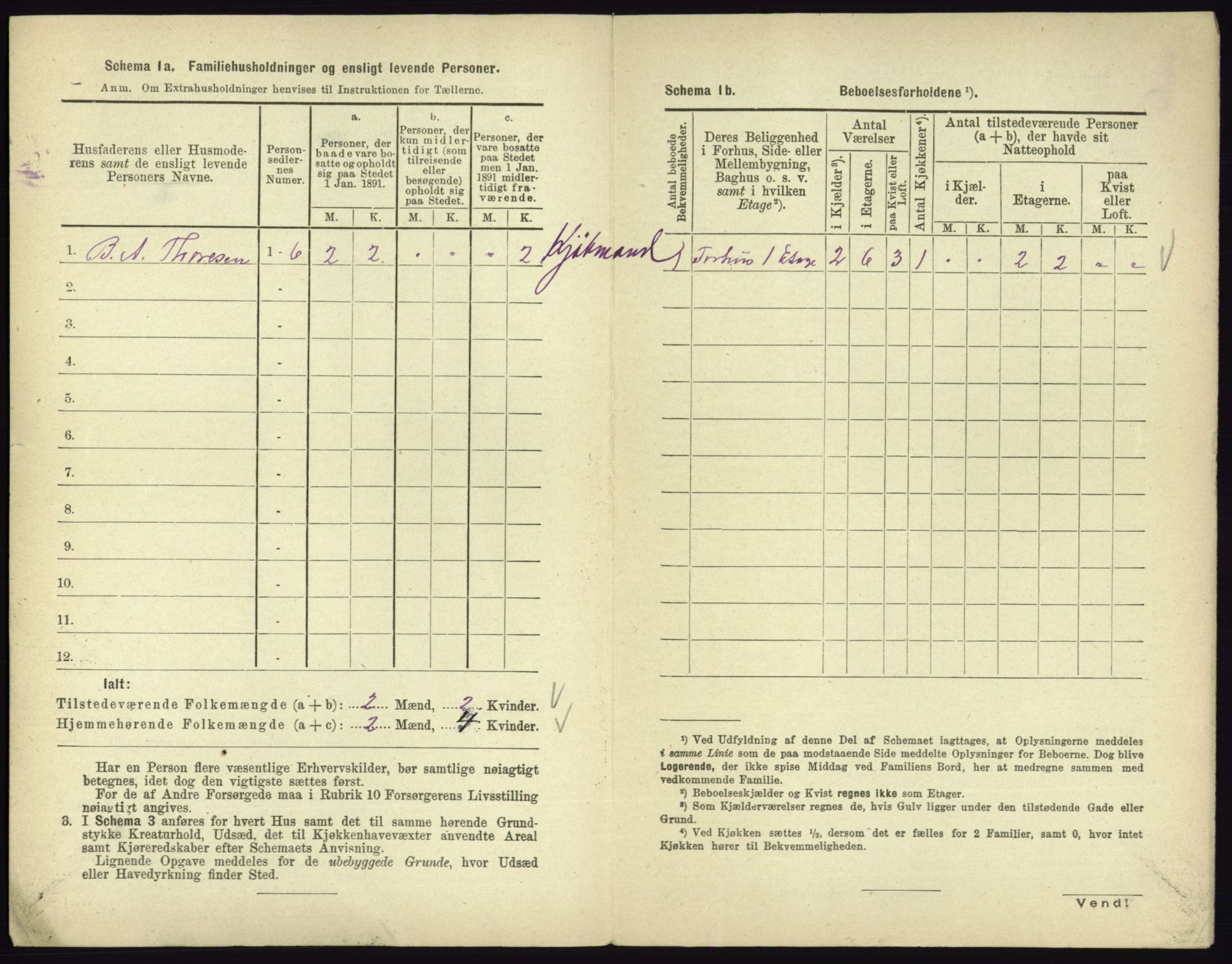 RA, 1891 census for 0701 Svelvik, 1891, p. 377