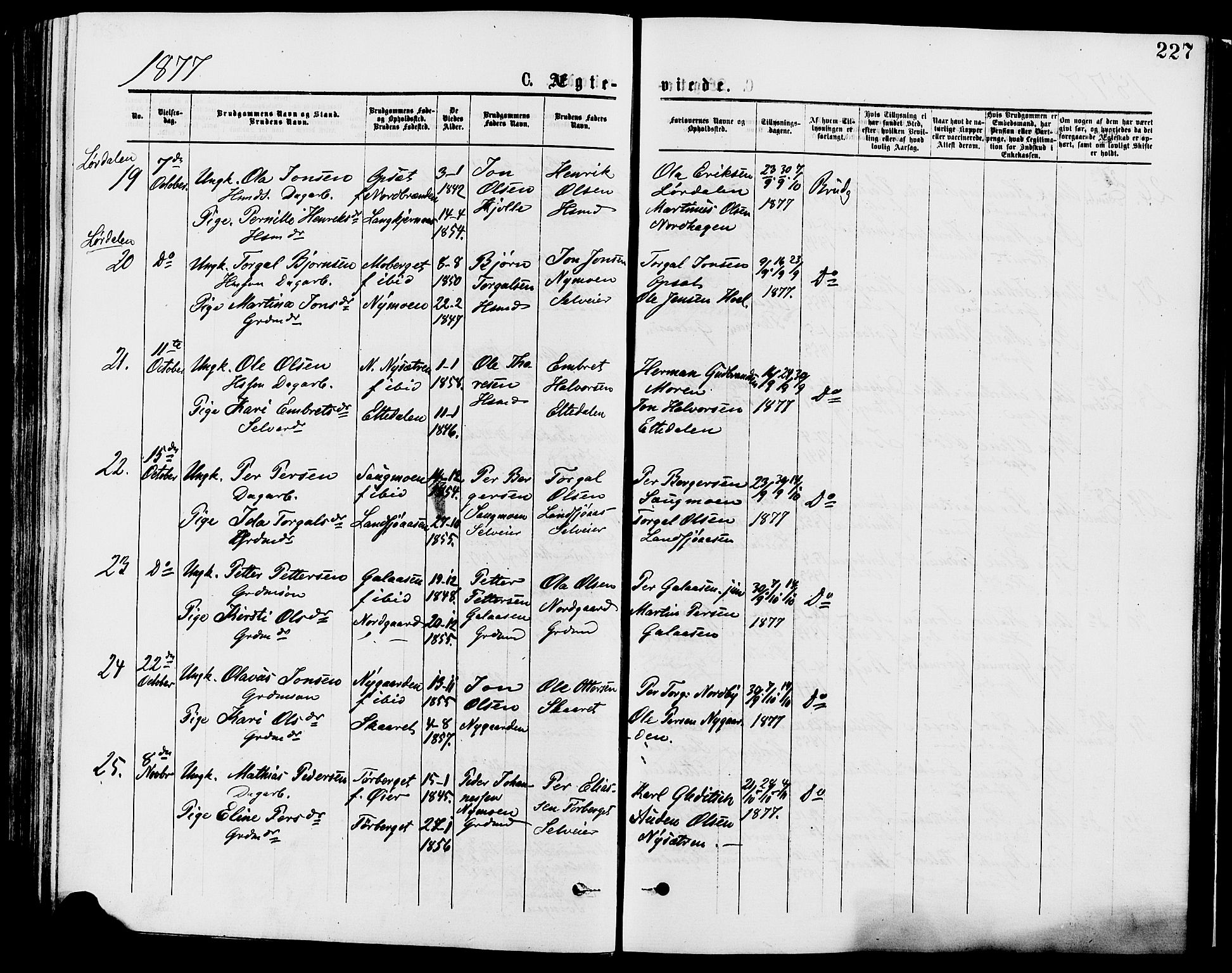 Trysil prestekontor, AV/SAH-PREST-046/H/Ha/Haa/L0007: Parish register (official) no. 7, 1874-1880, p. 227