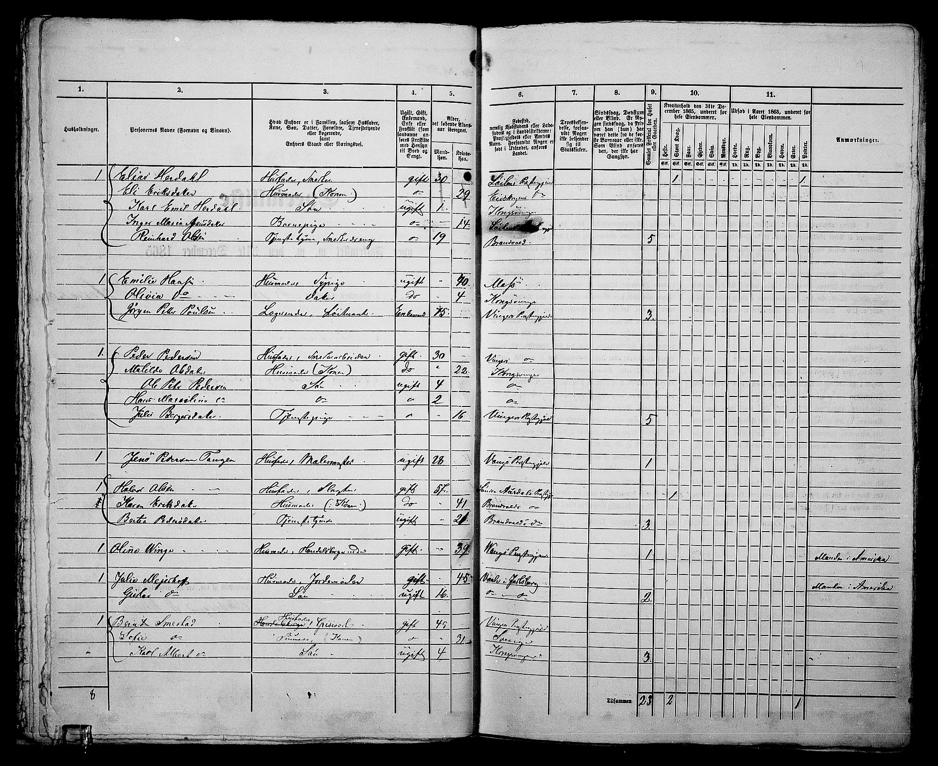 RA, 1865 census for Vinger/Kongsvinger, 1865, p. 51