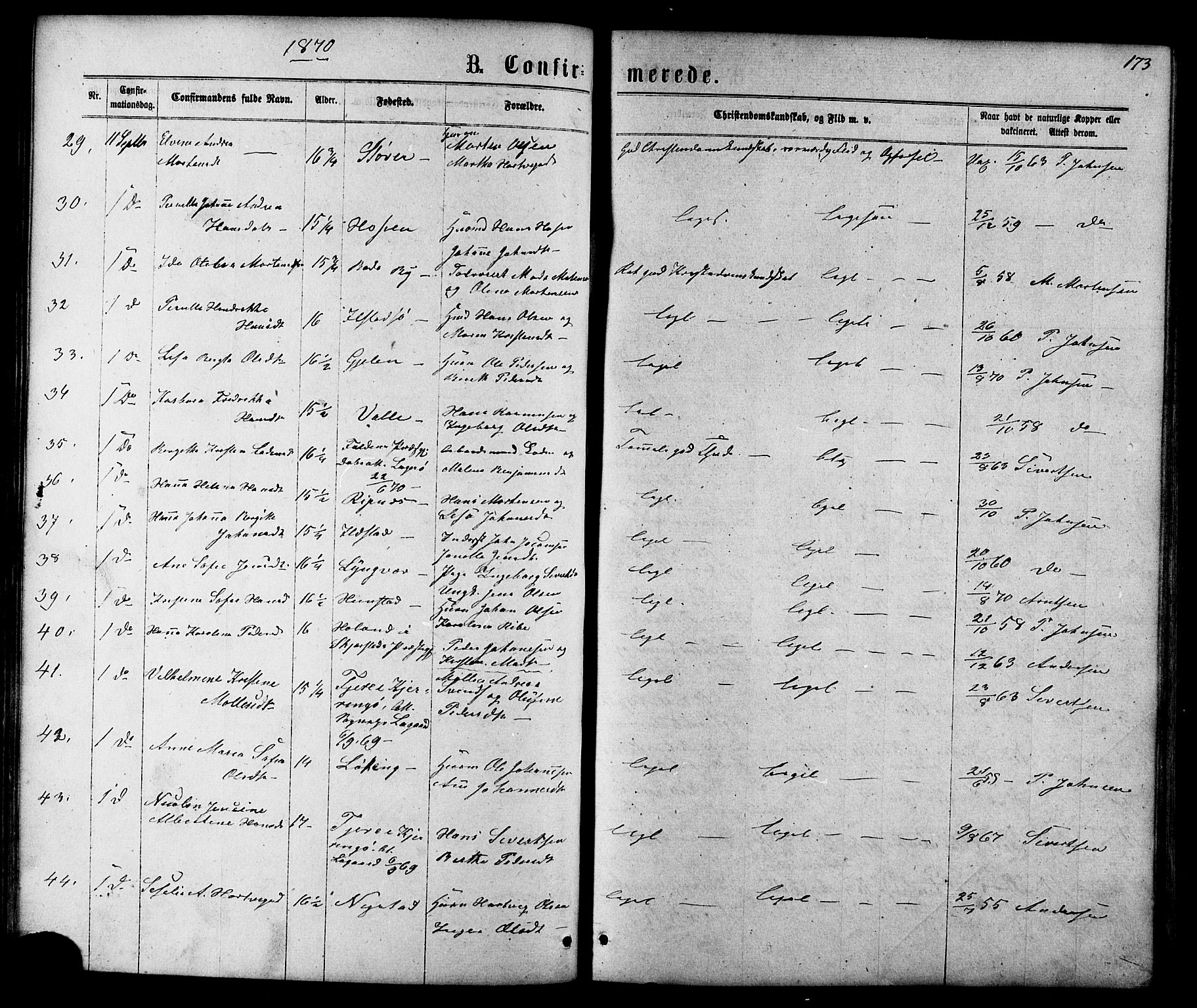 Ministerialprotokoller, klokkerbøker og fødselsregistre - Nordland, AV/SAT-A-1459/801/L0029: Parish register (copy) no. 801C04, 1868-1878, p. 173