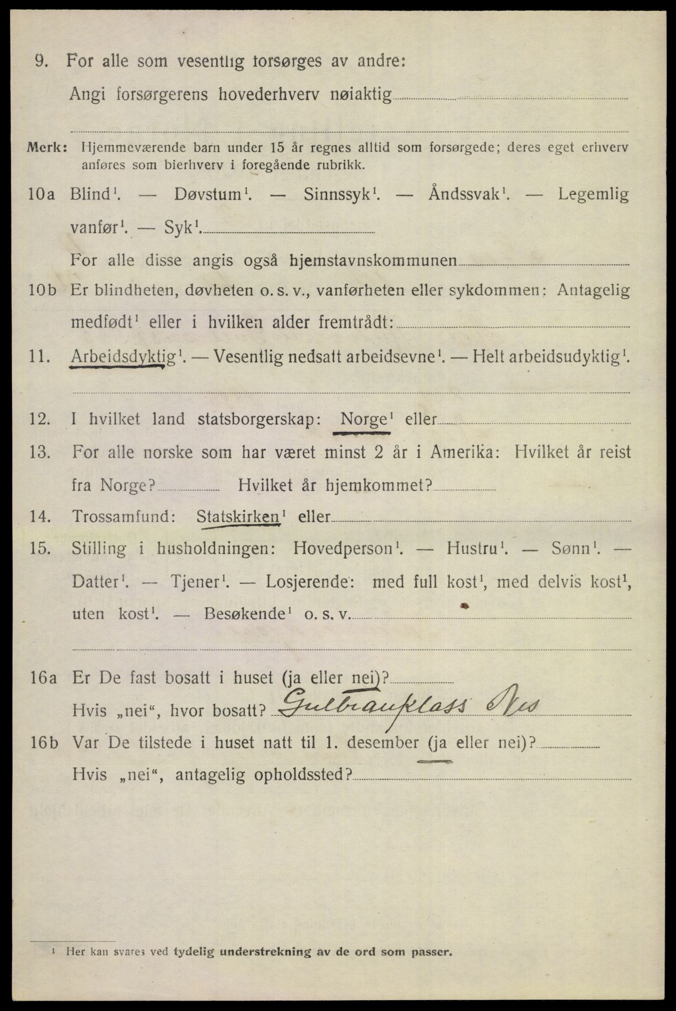 SAKO, 1920 census for Nes (Buskerud), 1920, p. 2493