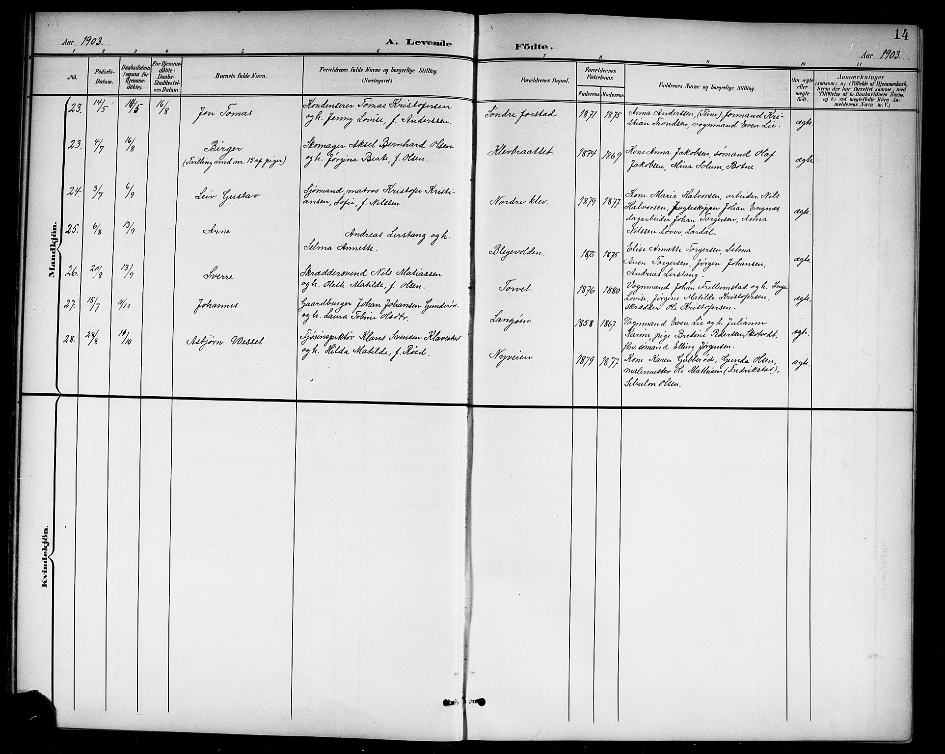 Holmestrand kirkebøker, AV/SAKO-A-346/G/Ga/L0006: Parish register (copy) no. 6, 1901-1923, p. 14