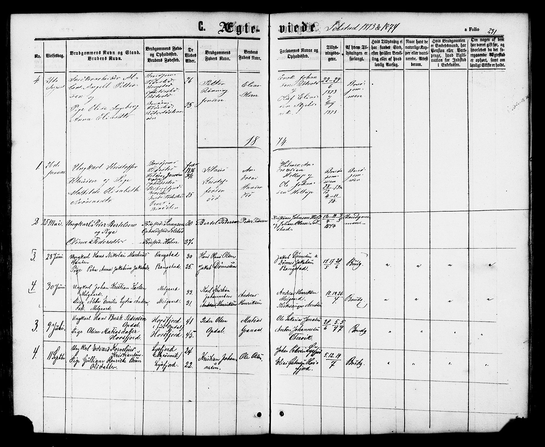 Ministerialprotokoller, klokkerbøker og fødselsregistre - Nordland, AV/SAT-A-1459/810/L0147: Parish register (official) no. 810A08 /2, 1862-1874, p. 231