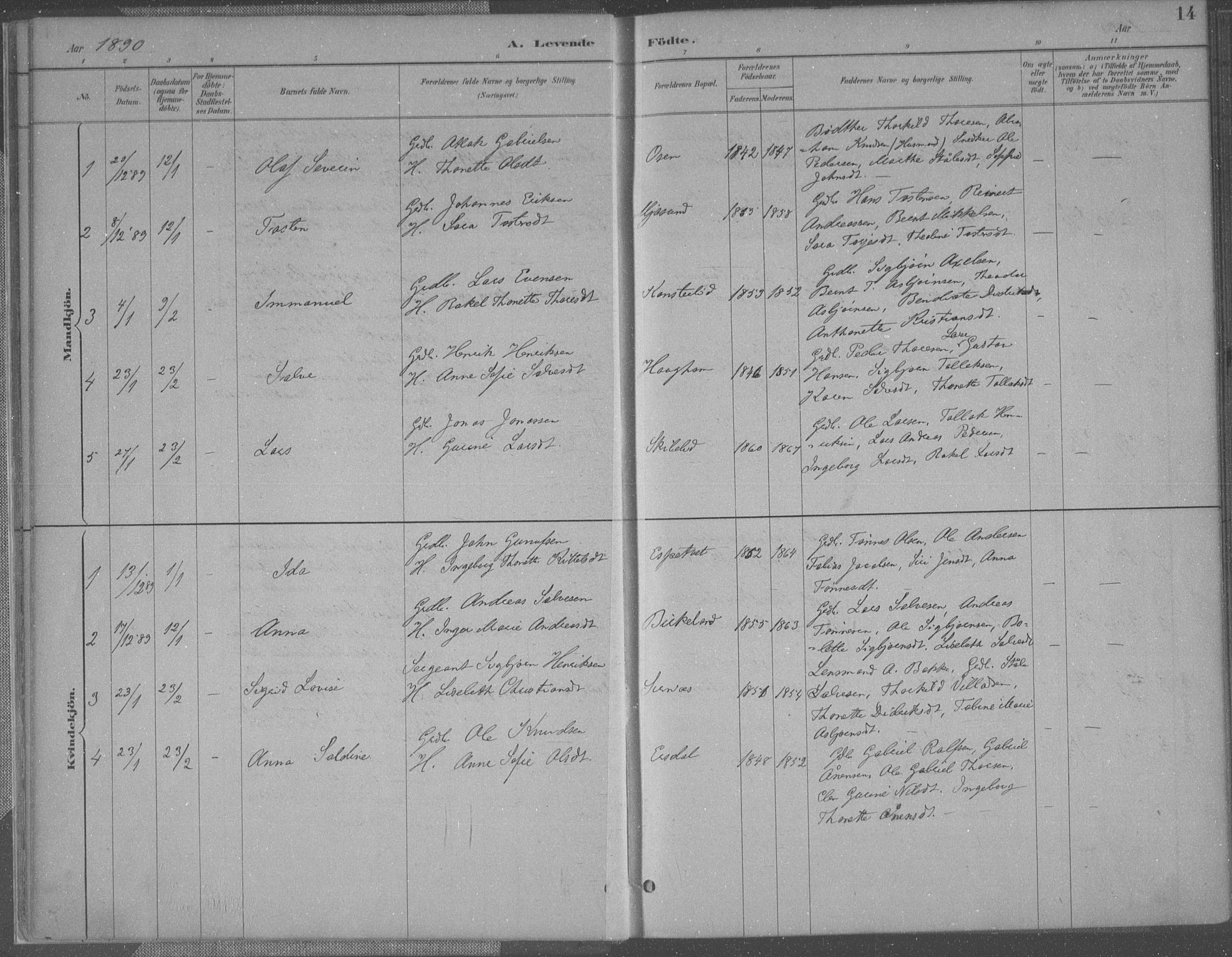 Bakke sokneprestkontor, SAK/1111-0002/F/Fa/Faa/L0008: Parish register (official) no. A 8, 1887-1911, p. 14