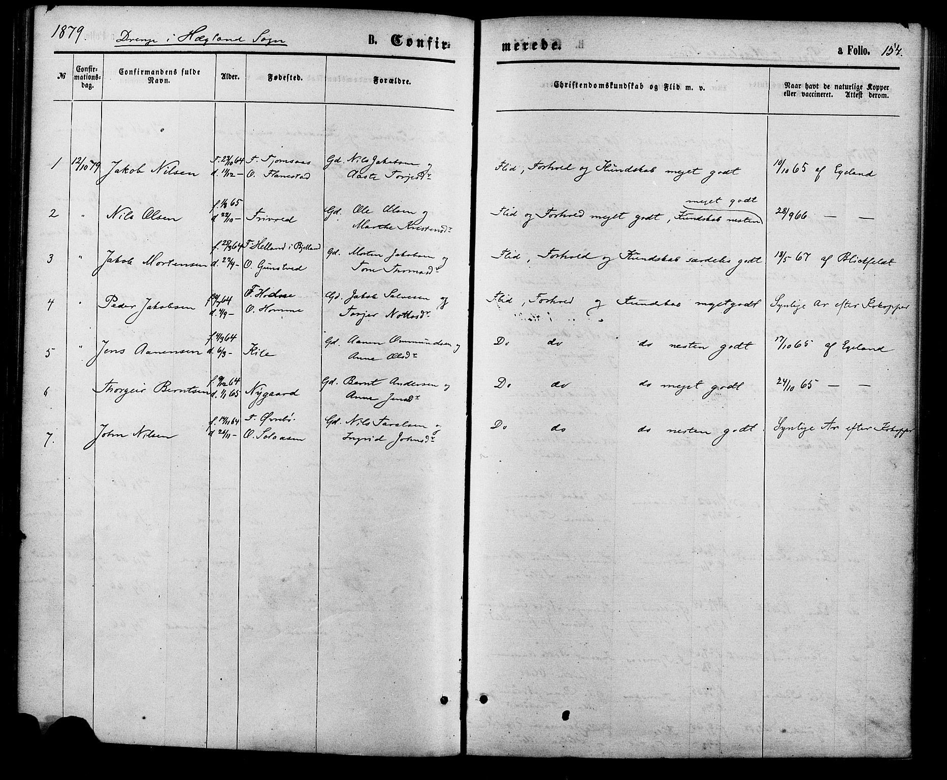 Vennesla sokneprestkontor, AV/SAK-1111-0045/Fa/Fac/L0008: Parish register (official) no. A 8, 1874-1883, p. 154