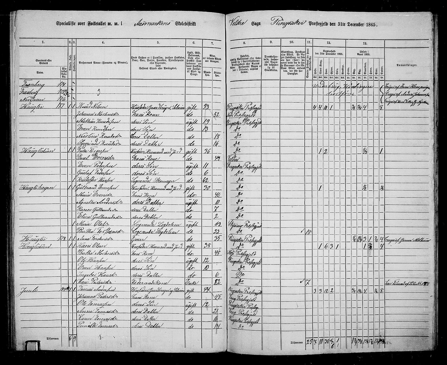 RA, 1865 census for Ringsaker, 1865, p. 223