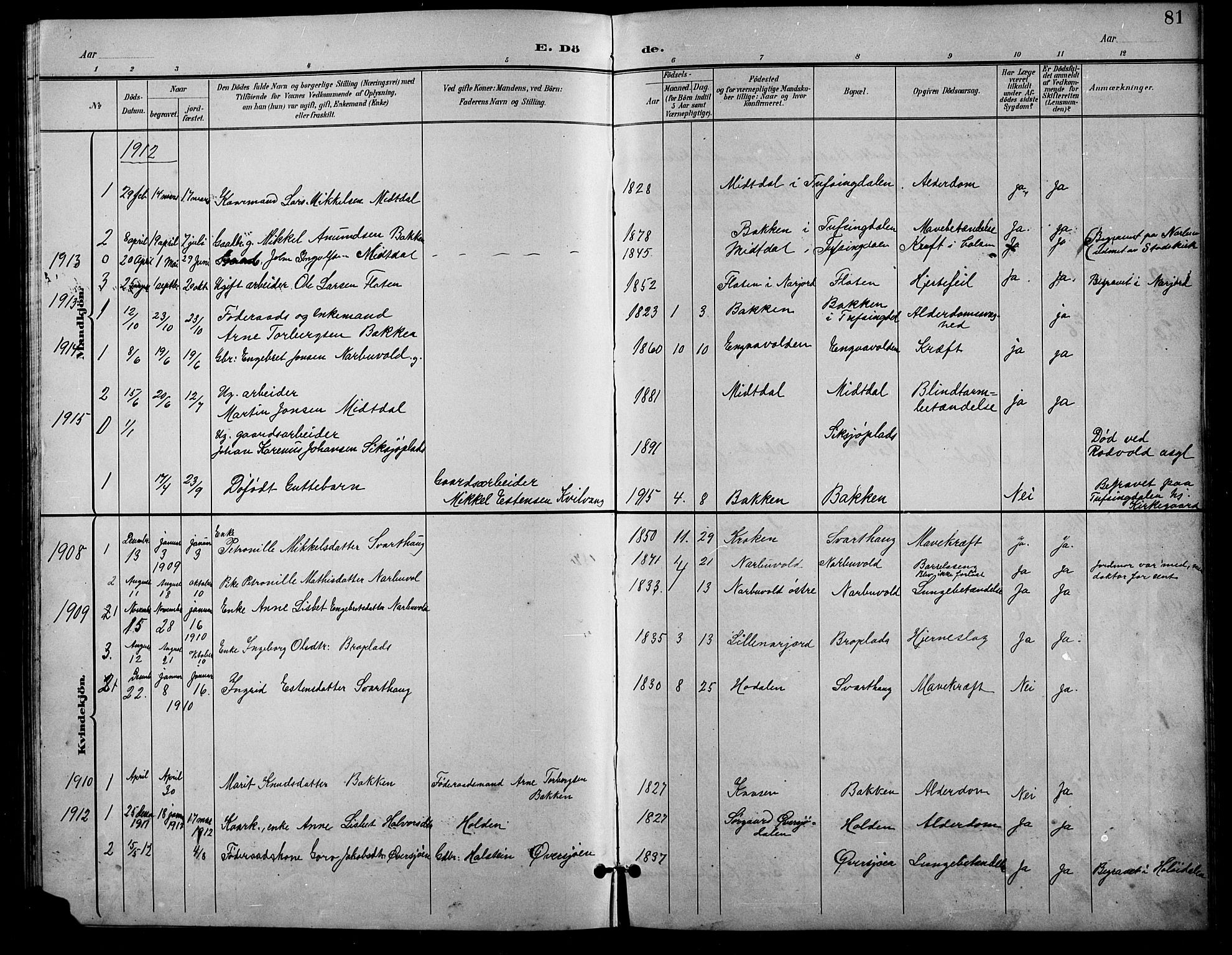 Tolga prestekontor, AV/SAH-PREST-062/L/L0011: Parish register (copy) no. 11, 1894-1925, p. 81