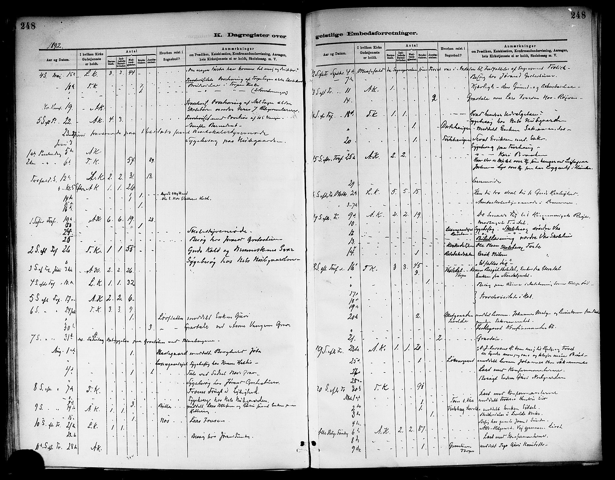 Ål kirkebøker, SAKO/A-249/F/Fa/L0008: Parish register (official) no. I 8, 1882-1896, p. 248