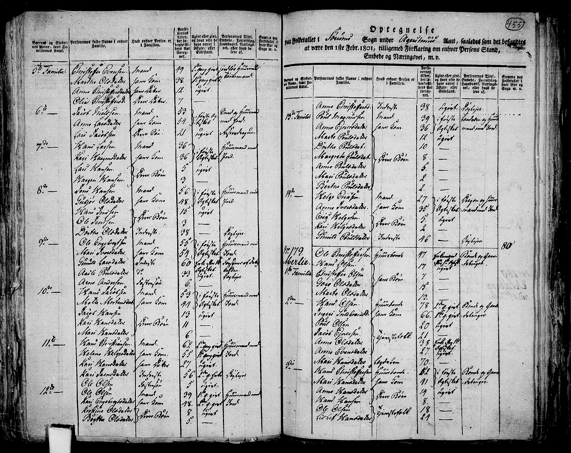 RA, 1801 census for 0226P Sørum, 1801, p. 454b-455a