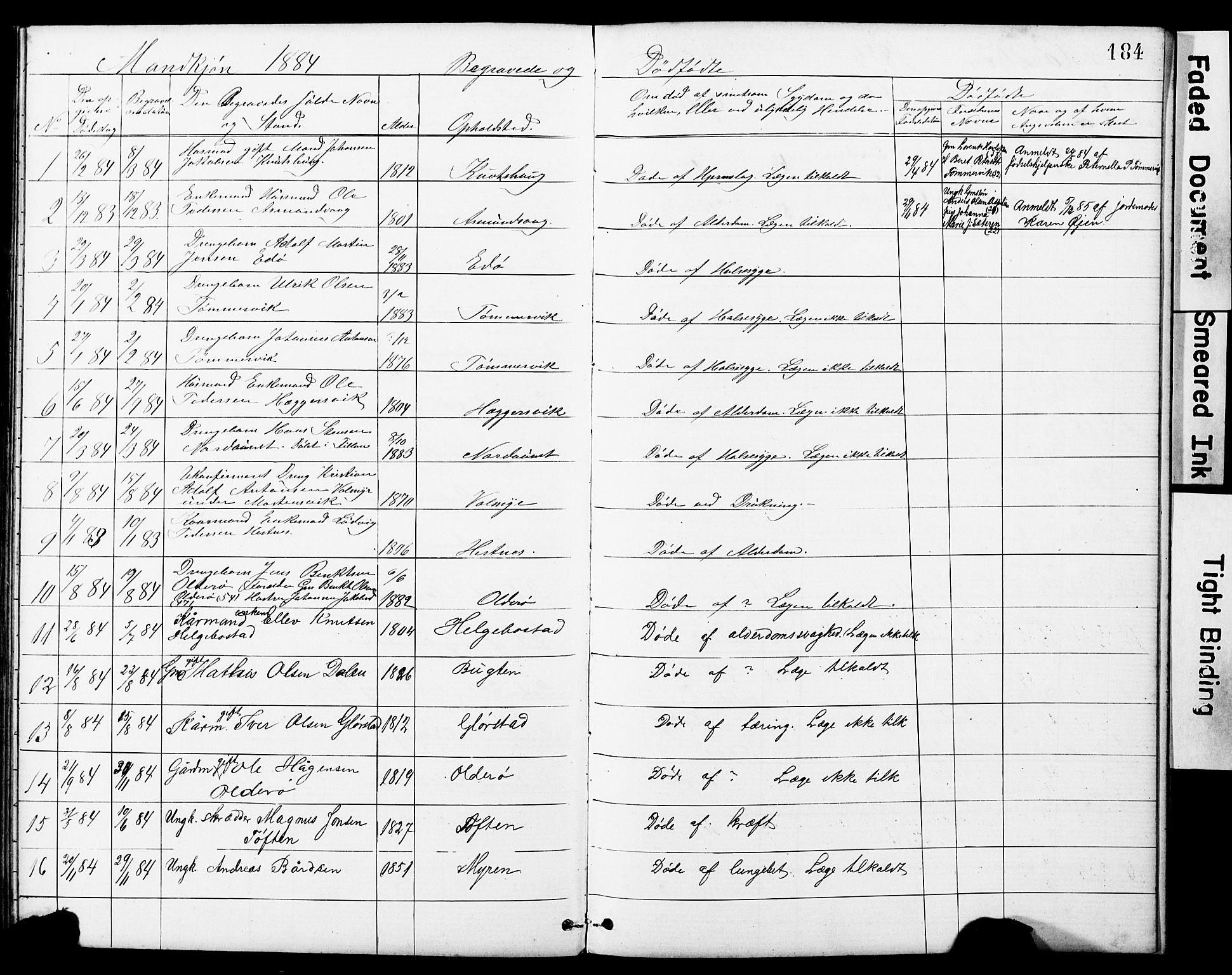 Ministerialprotokoller, klokkerbøker og fødselsregistre - Sør-Trøndelag, SAT/A-1456/634/L0541: Parish register (copy) no. 634C03, 1874-1891, p. 184