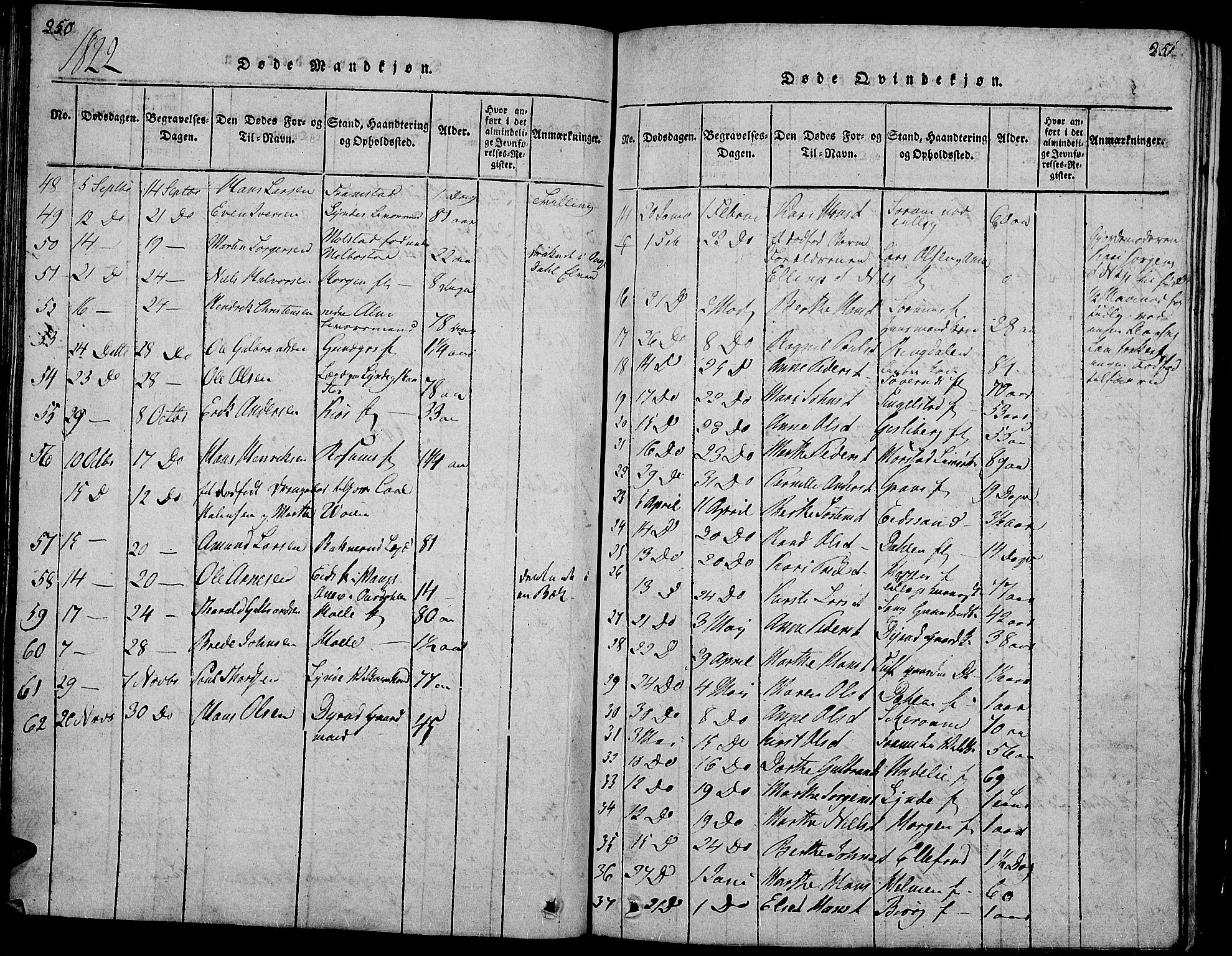 Gran prestekontor, SAH/PREST-112/H/Ha/Hab/L0001: Parish register (copy) no. 1, 1815-1824, p. 250-251