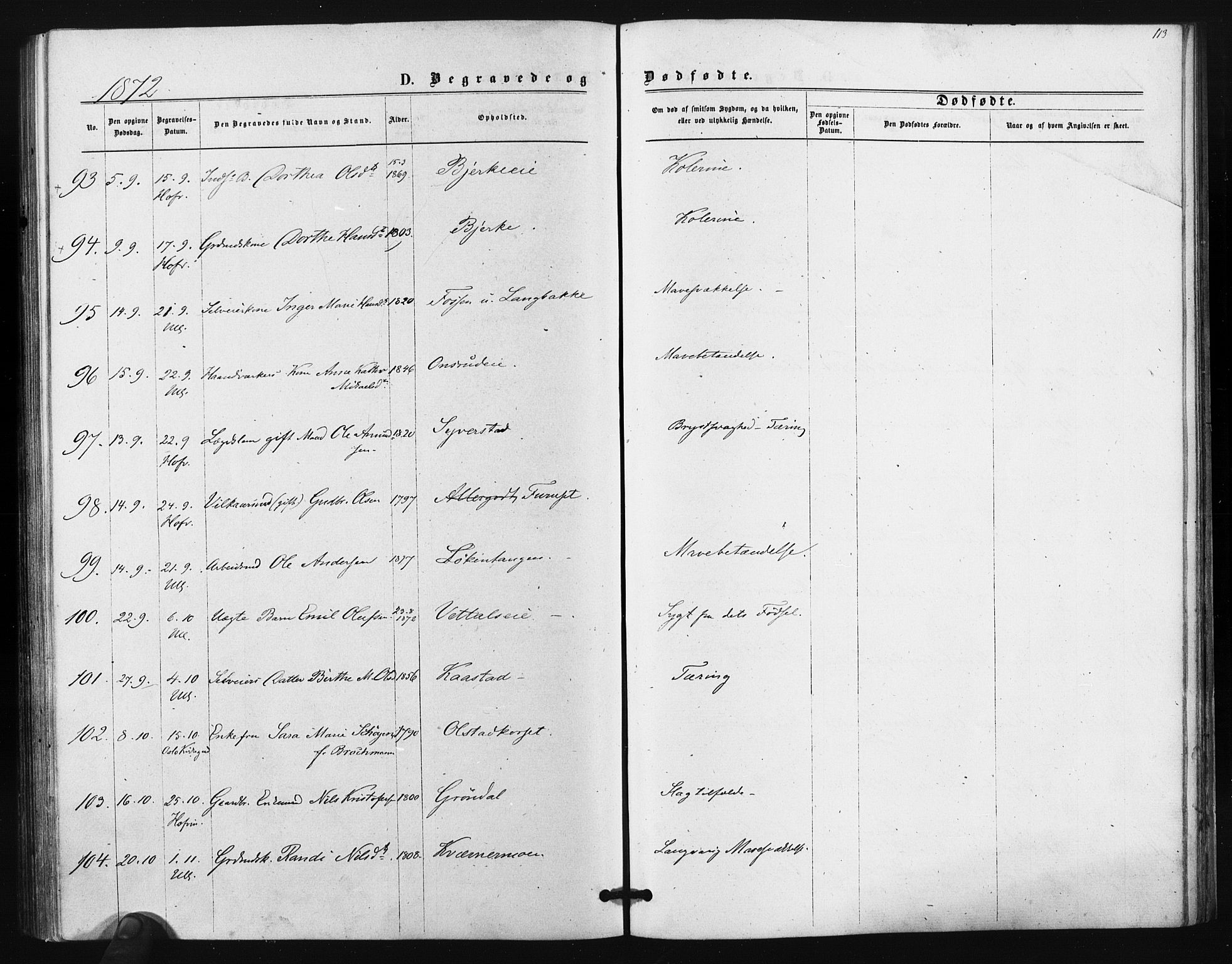 Ullensaker prestekontor Kirkebøker, AV/SAO-A-10236a/F/Fa/L0017: Parish register (official) no. I 17, 1871-1875, p. 113