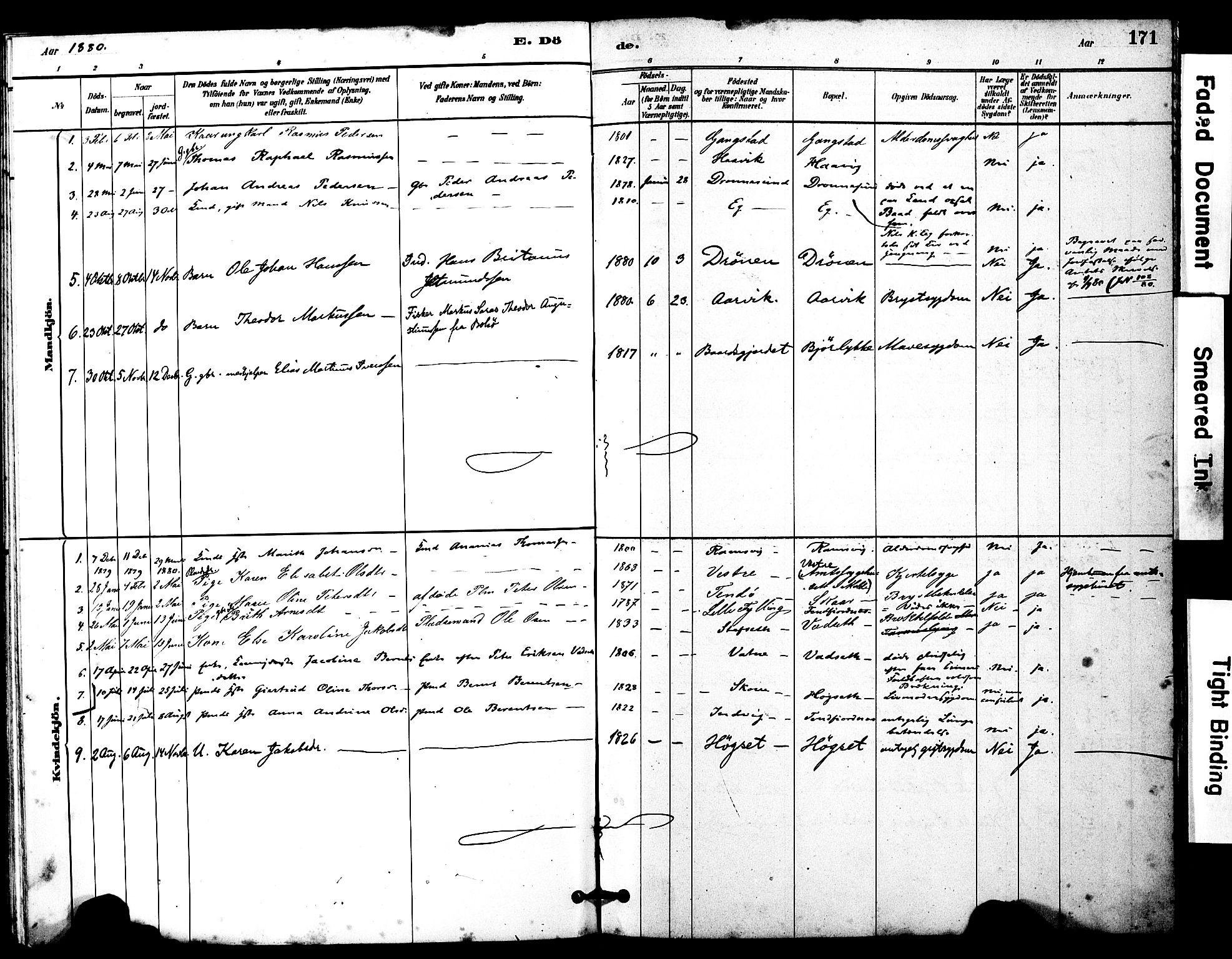 Ministerialprotokoller, klokkerbøker og fødselsregistre - Møre og Romsdal, SAT/A-1454/525/L0374: Parish register (official) no. 525A04, 1880-1899, p. 171