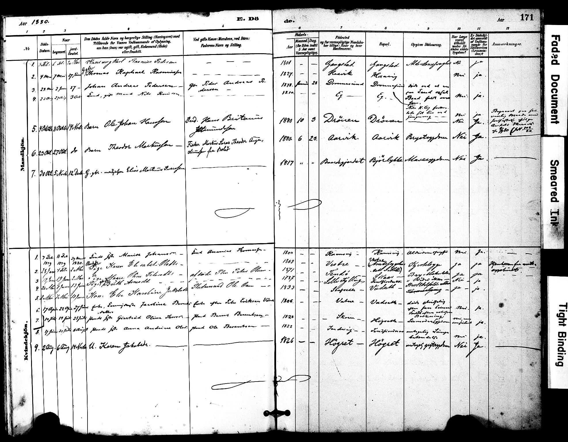 Ministerialprotokoller, klokkerbøker og fødselsregistre - Møre og Romsdal, AV/SAT-A-1454/525/L0374: Parish register (official) no. 525A04, 1880-1899, p. 171