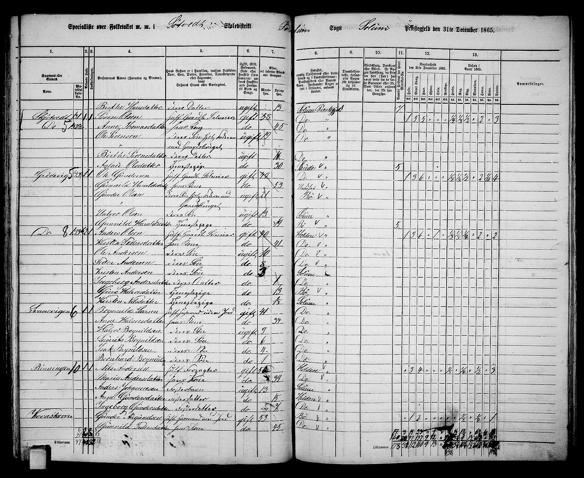 RA, 1865 census for Solum, 1865, p. 122