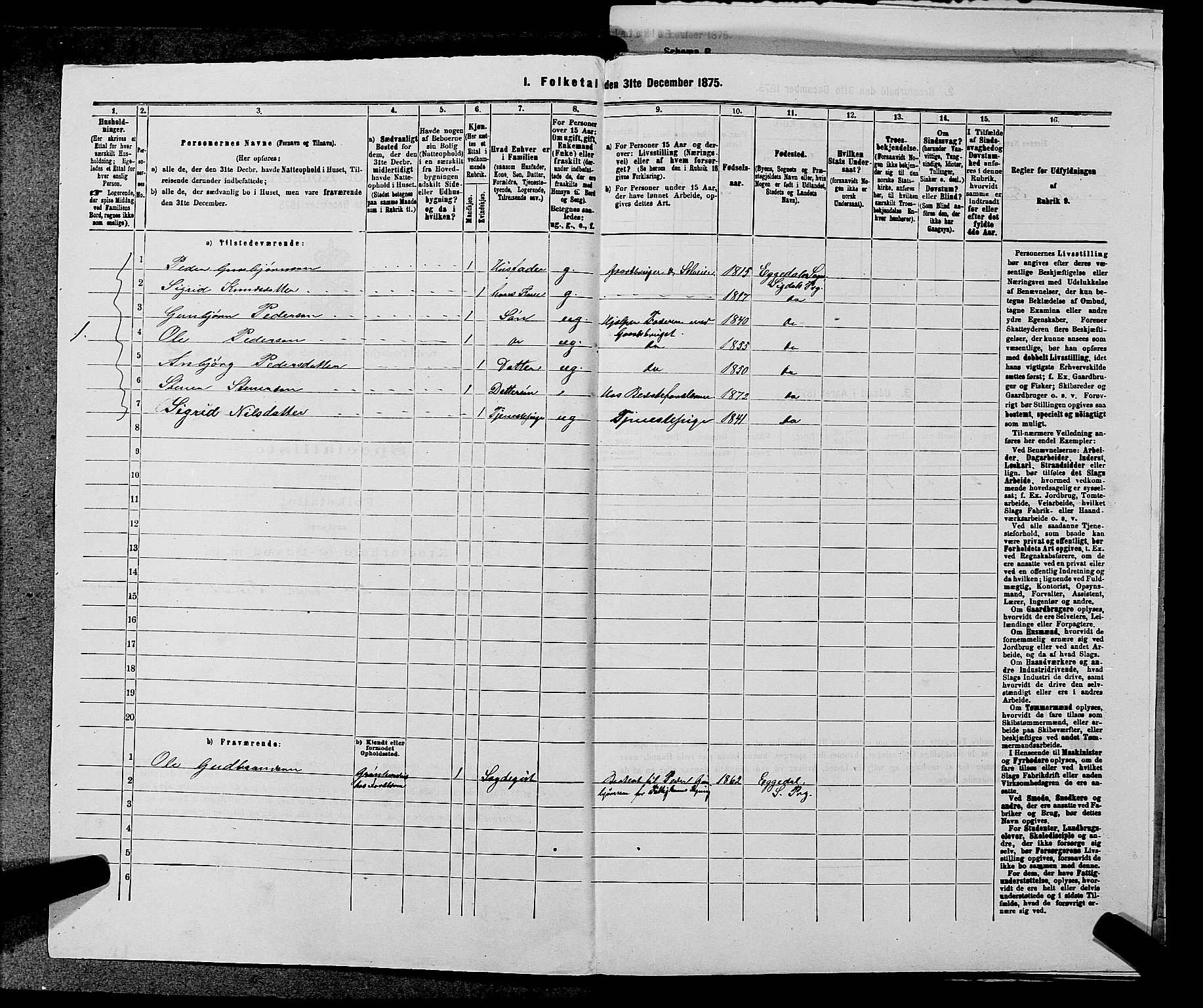 SAKO, 1875 census for 0621P Sigdal, 1875, p. 2007