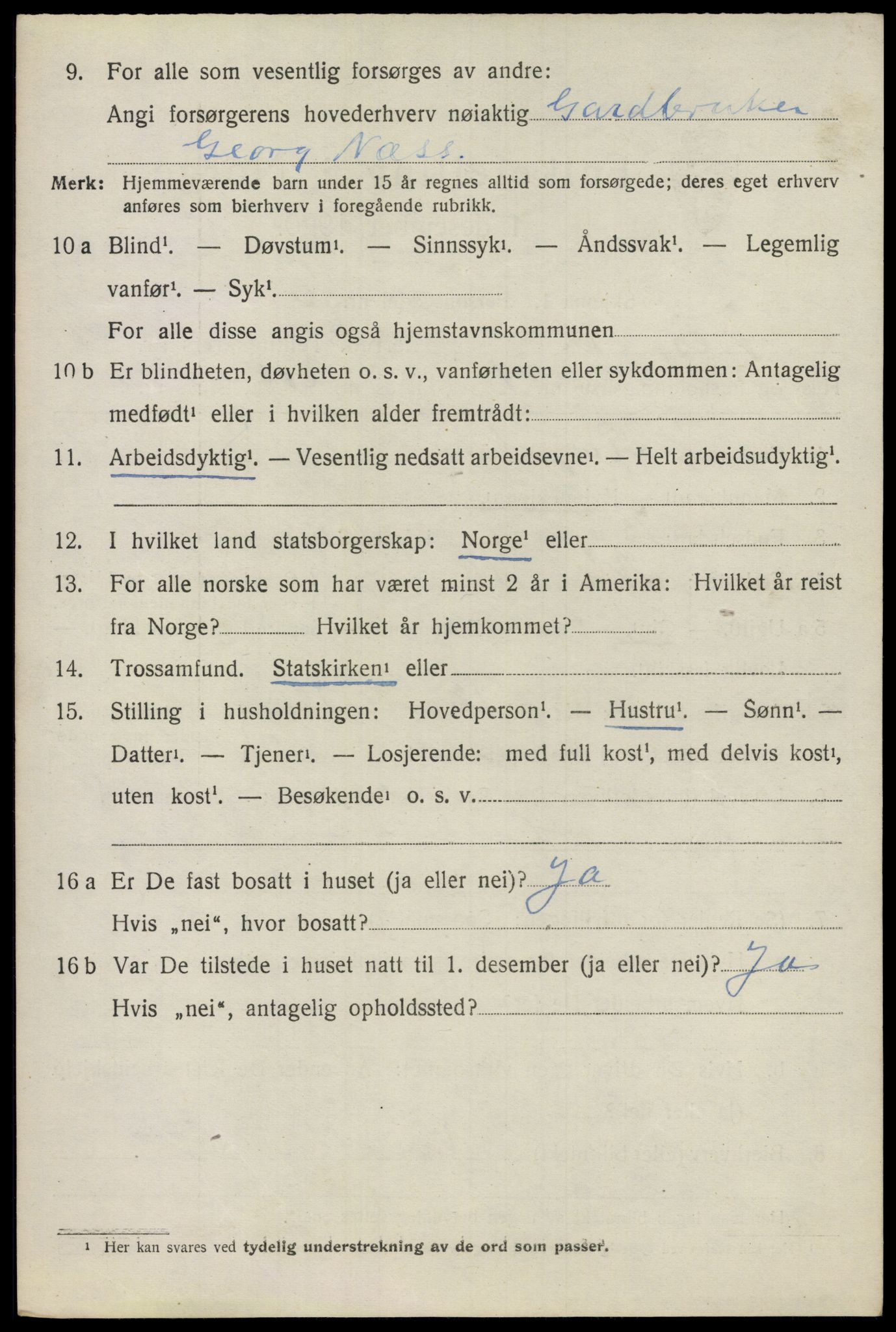 SAO, 1920 census for Nes, 1920, p. 21943