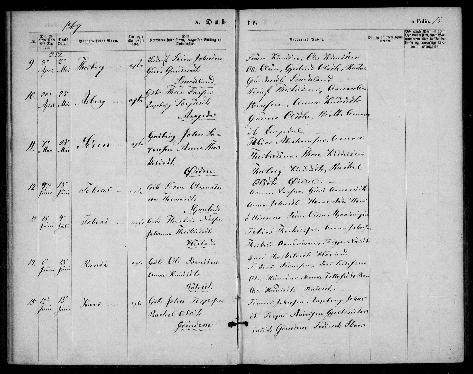 Bjelland sokneprestkontor, SAK/1111-0005/F/Fa/Fac/L0002: Parish register (official) no. A 2, 1866-1887, p. 15