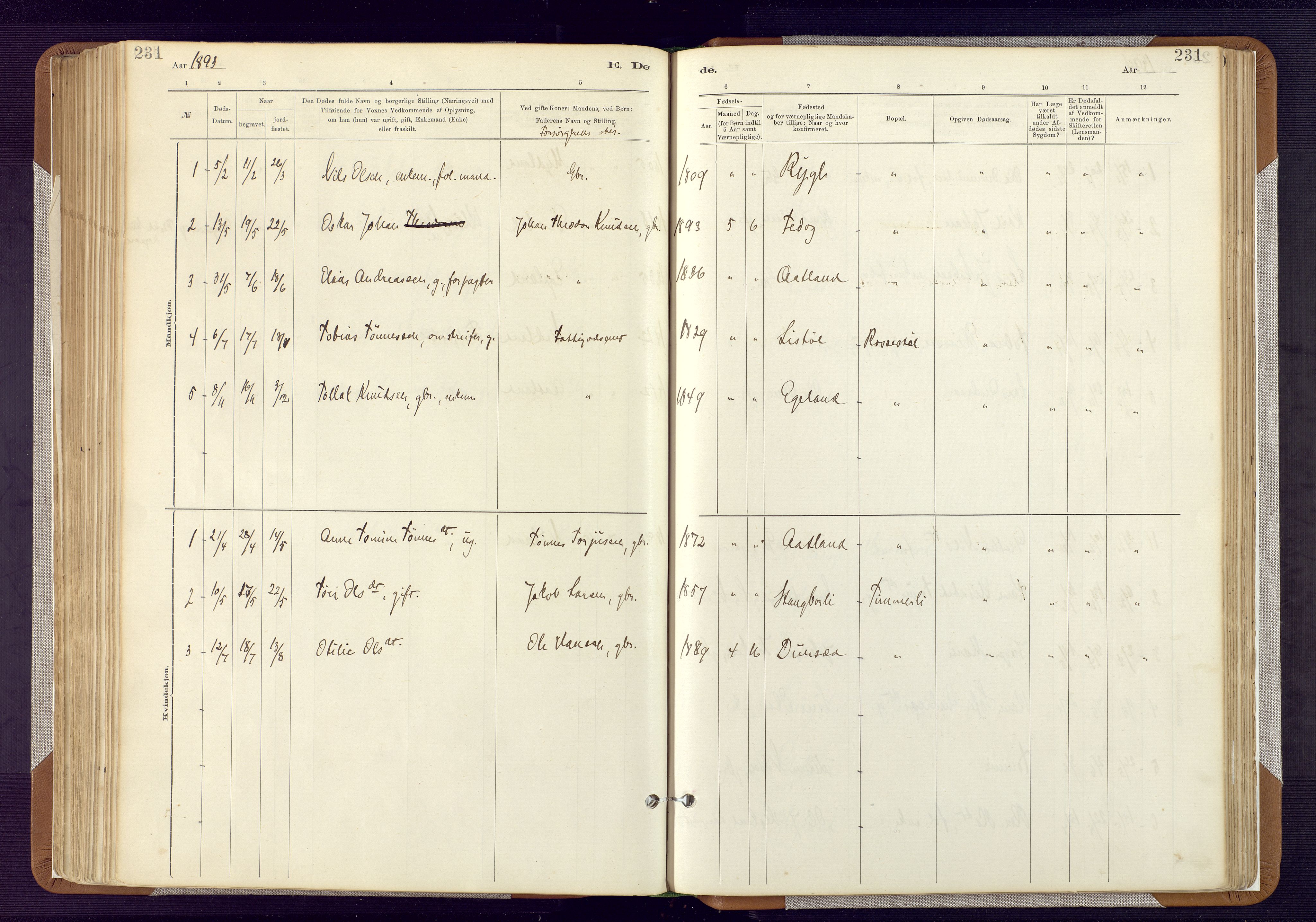 Bakke sokneprestkontor, SAK/1111-0002/F/Fa/Fab/L0003: Parish register (official) no. A 3, 1884-1921, p. 231