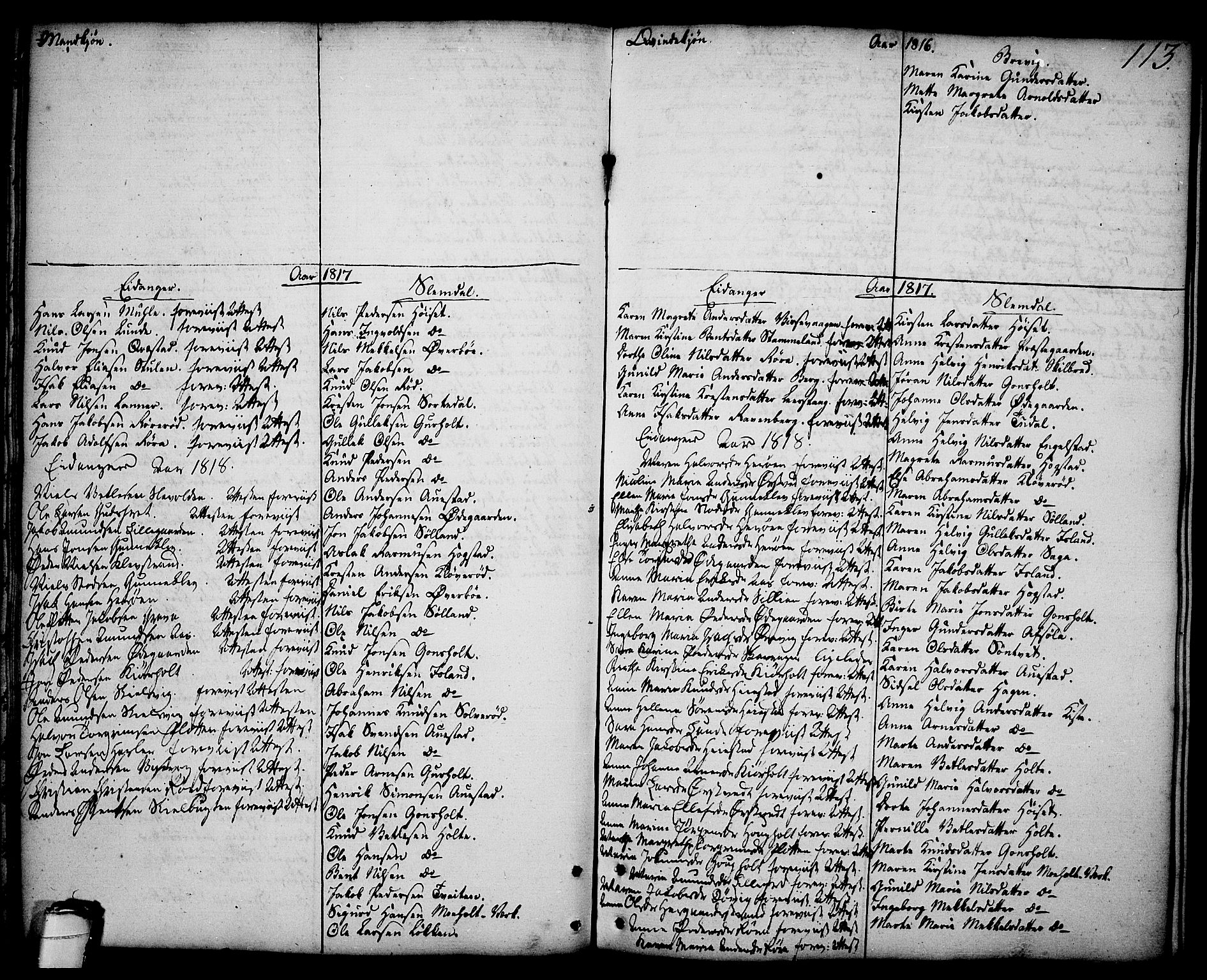 Brevik kirkebøker, SAKO/A-255/F/Fa/L0003: Parish register (official) no. 3, 1764-1814, p. 113