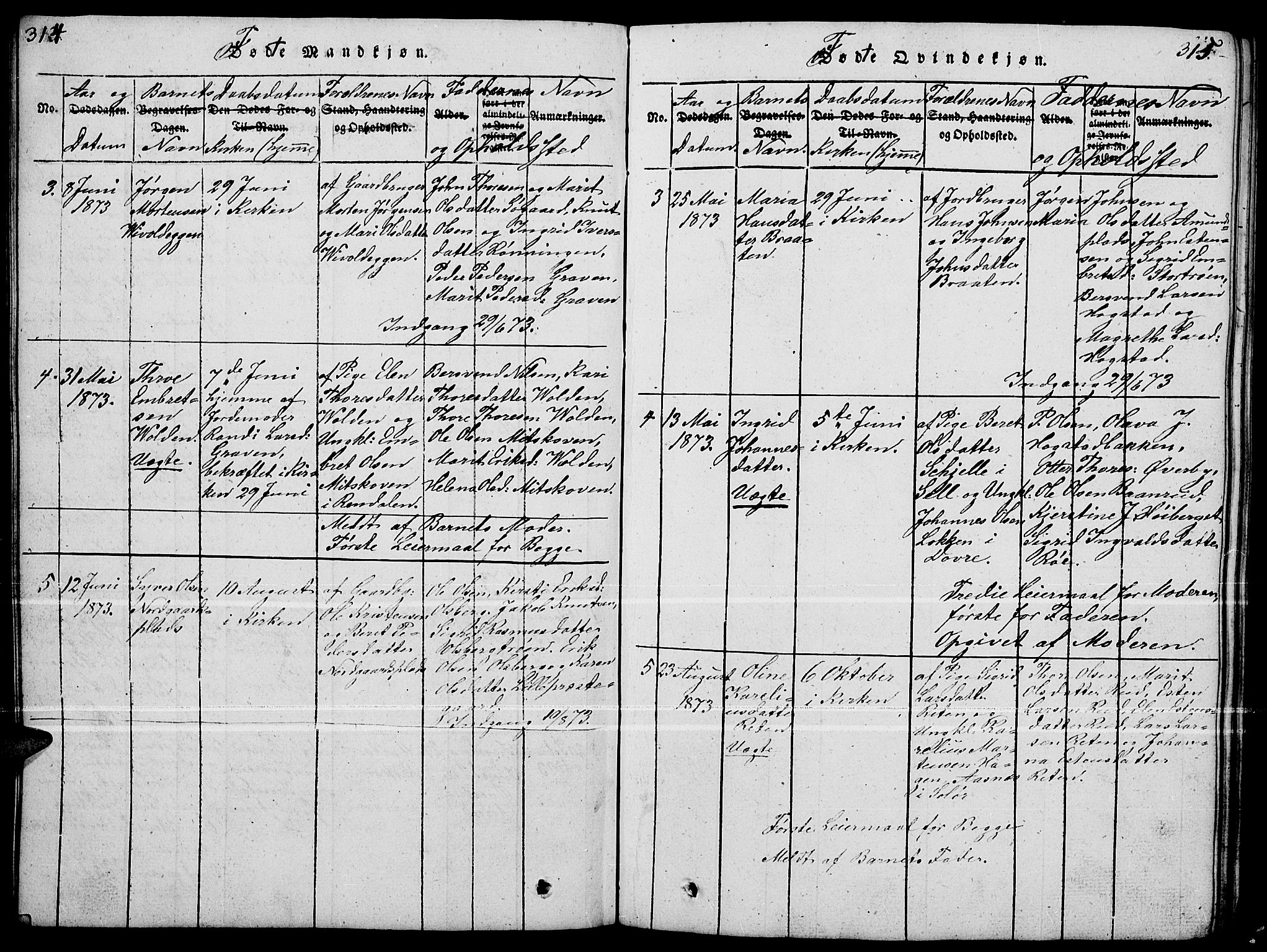 Tynset prestekontor, SAH/PREST-058/H/Ha/Hab/L0004: Parish register (copy) no. 4, 1814-1879, p. 314-315