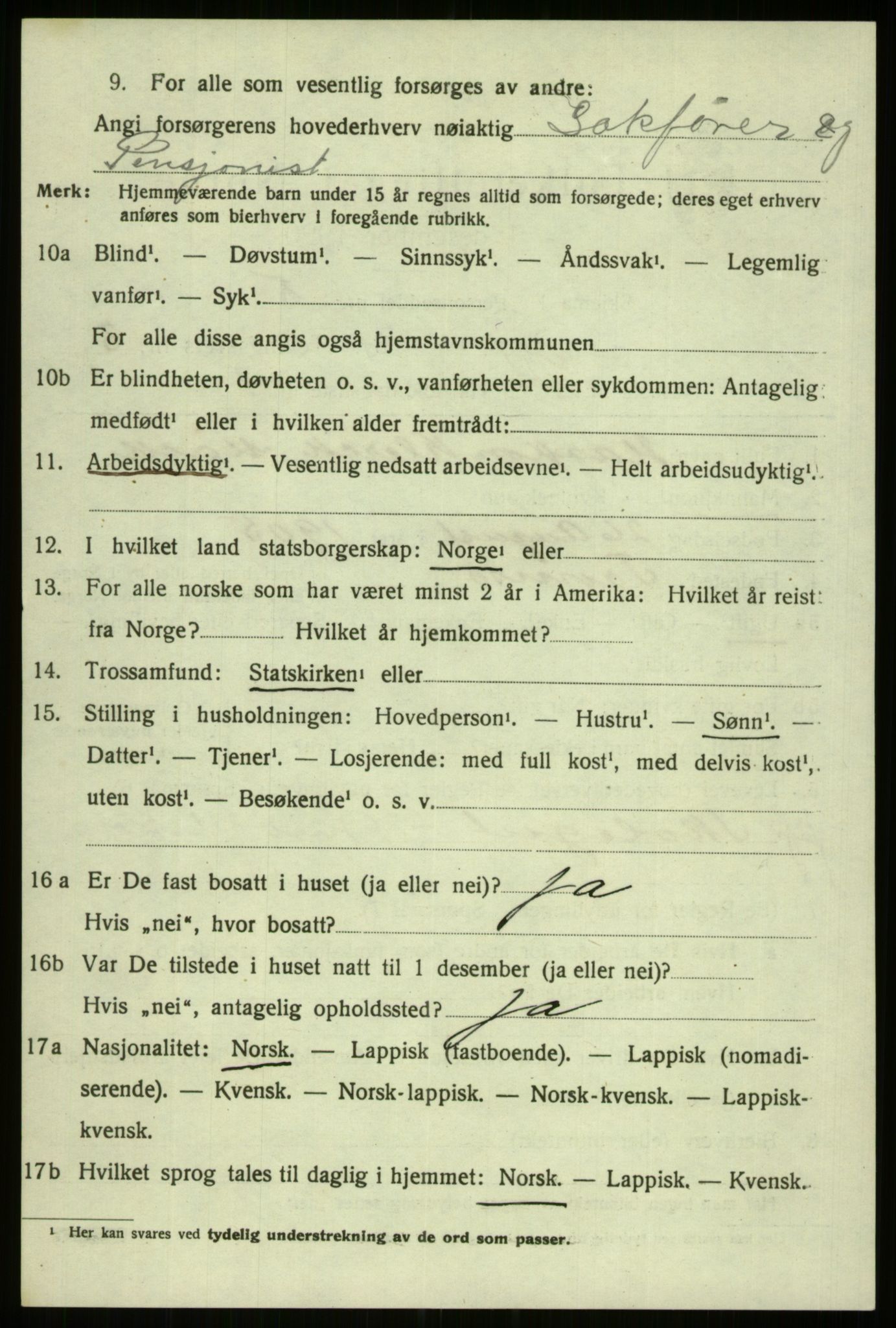 SATØ, 1920 census for Tromsø, 1920, p. 11602