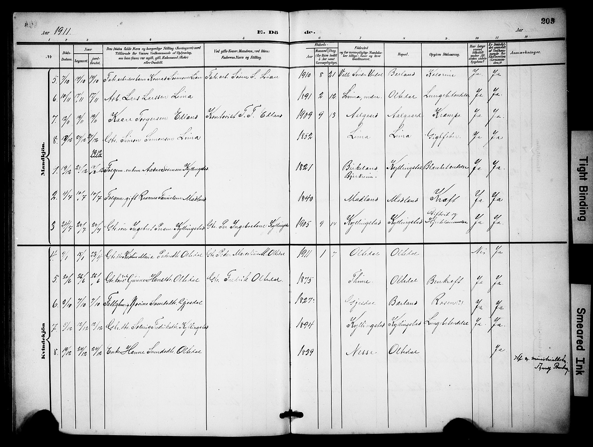 Lye sokneprestkontor, SAST/A-101794/001/30BB/L0009: Parish register (copy) no. B 9, 1902-1923, p. 205
