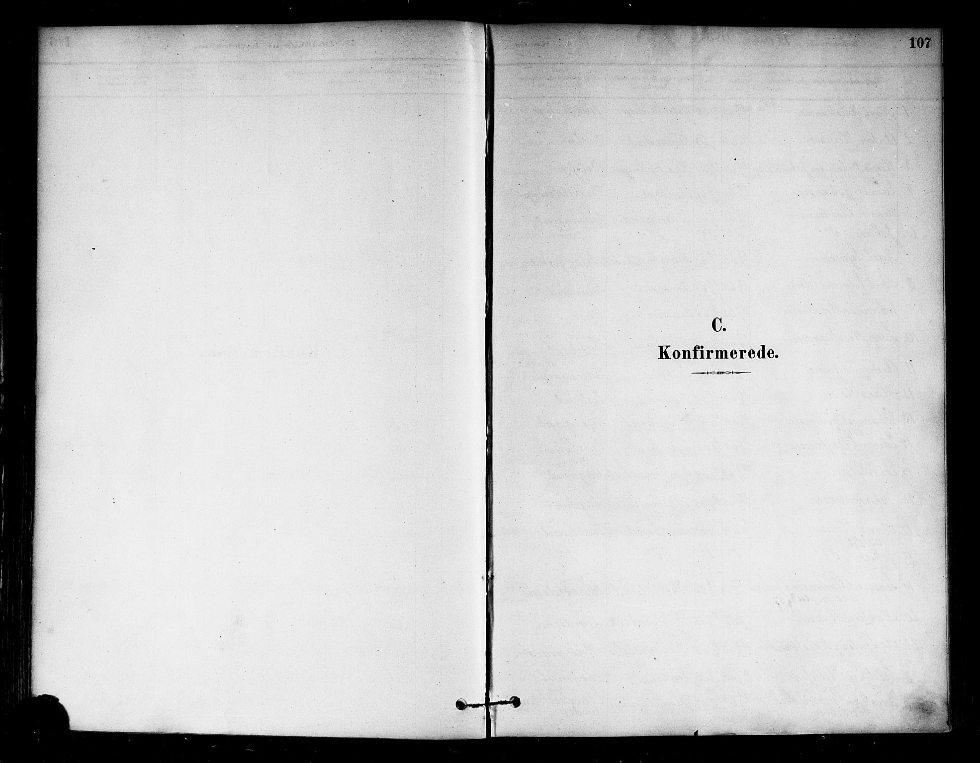 Eidsberg prestekontor Kirkebøker, AV/SAO-A-10905/F/Fa/L0012: Parish register (official) no. I 12, 1879-1901, p. 107