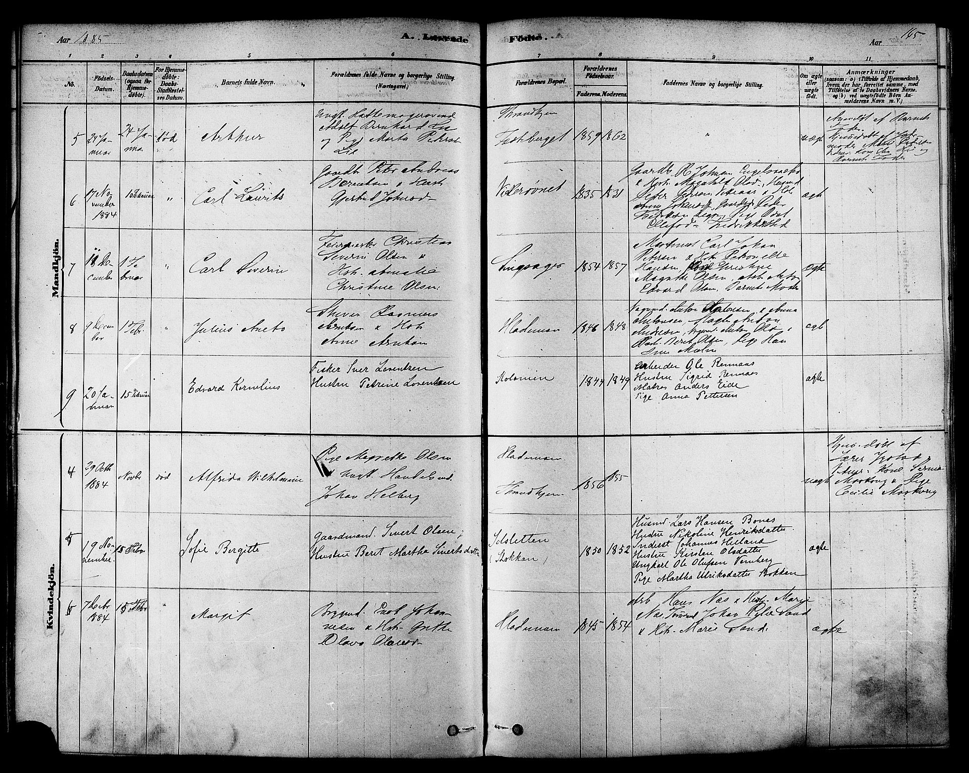 Ministerialprotokoller, klokkerbøker og fødselsregistre - Sør-Trøndelag, SAT/A-1456/606/L0294: Parish register (official) no. 606A09, 1878-1886, p. 165