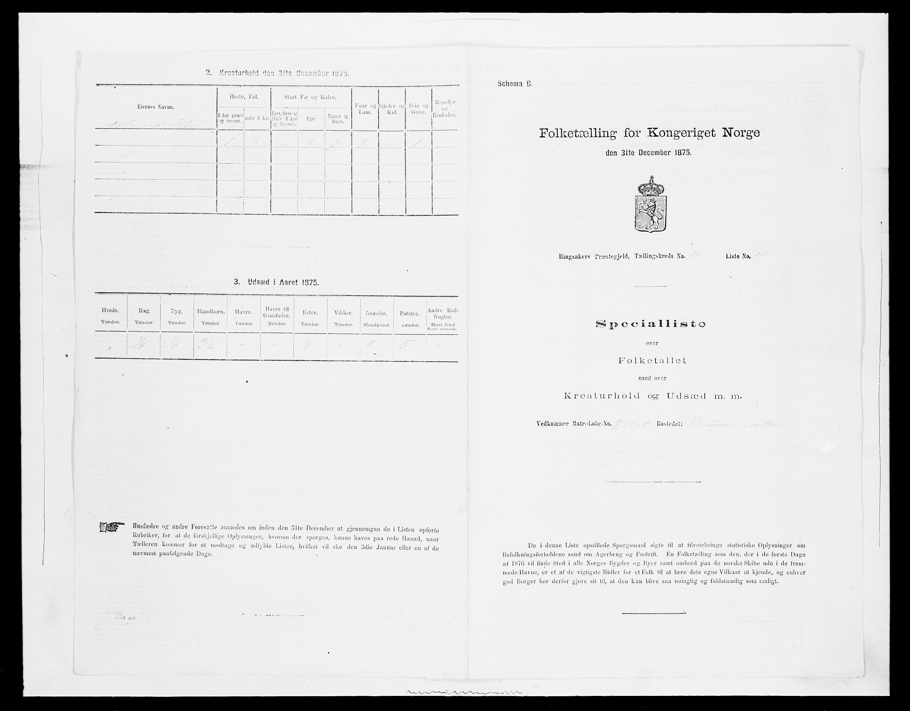 SAH, 1875 census for 0412P Ringsaker, 1875, p. 3570