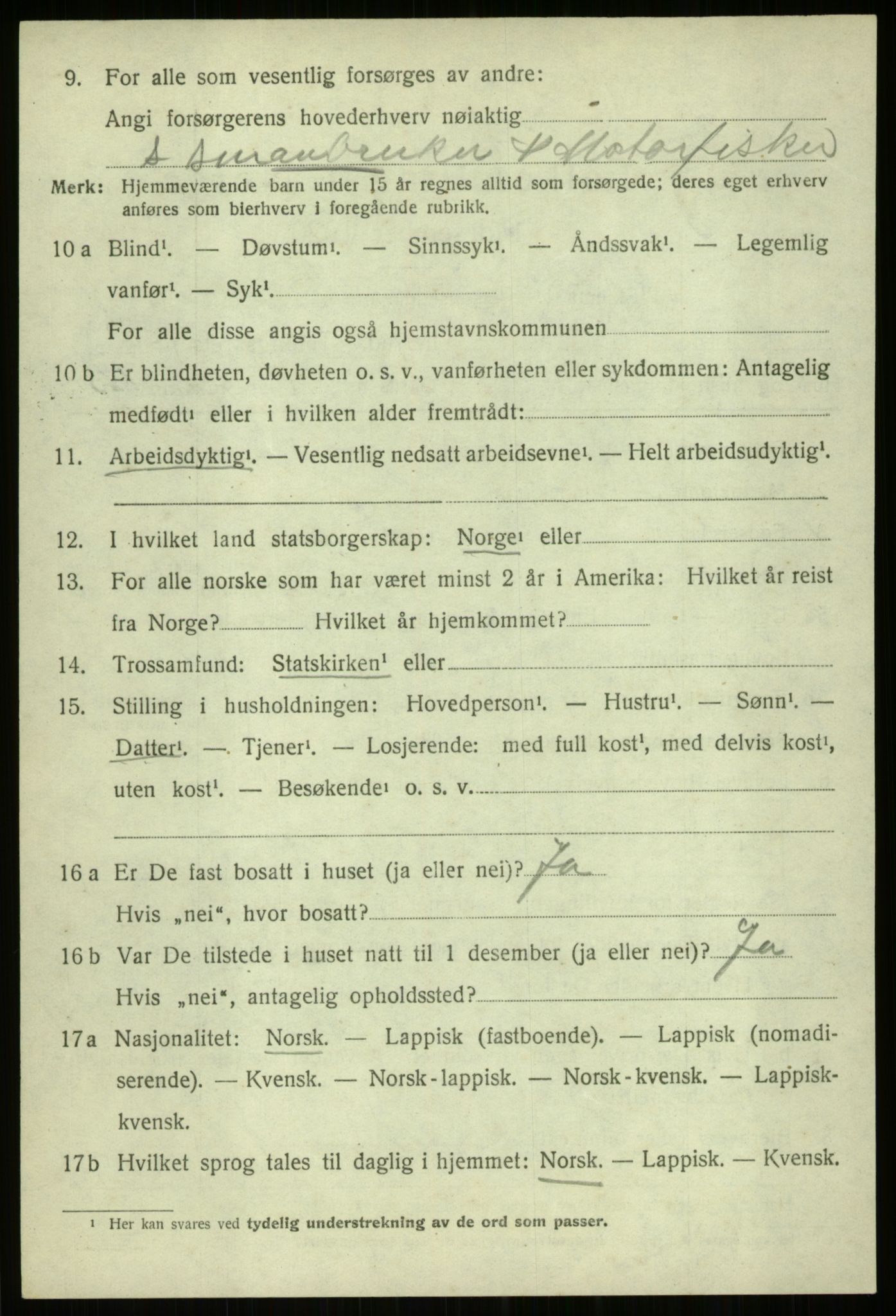 SATØ, 1920 census for Ibestad, 1920, p. 9796