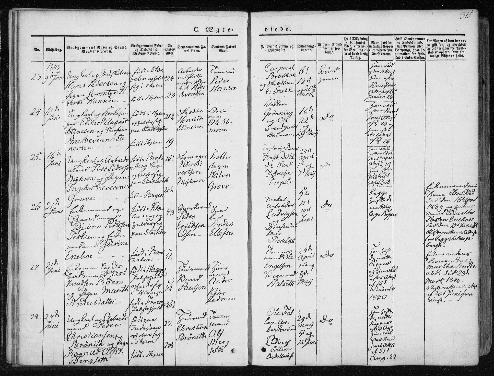 Ministerialprotokoller, klokkerbøker og fødselsregistre - Sør-Trøndelag, AV/SAT-A-1456/601/L0049: Parish register (official) no. 601A17, 1839-1847, p. 315