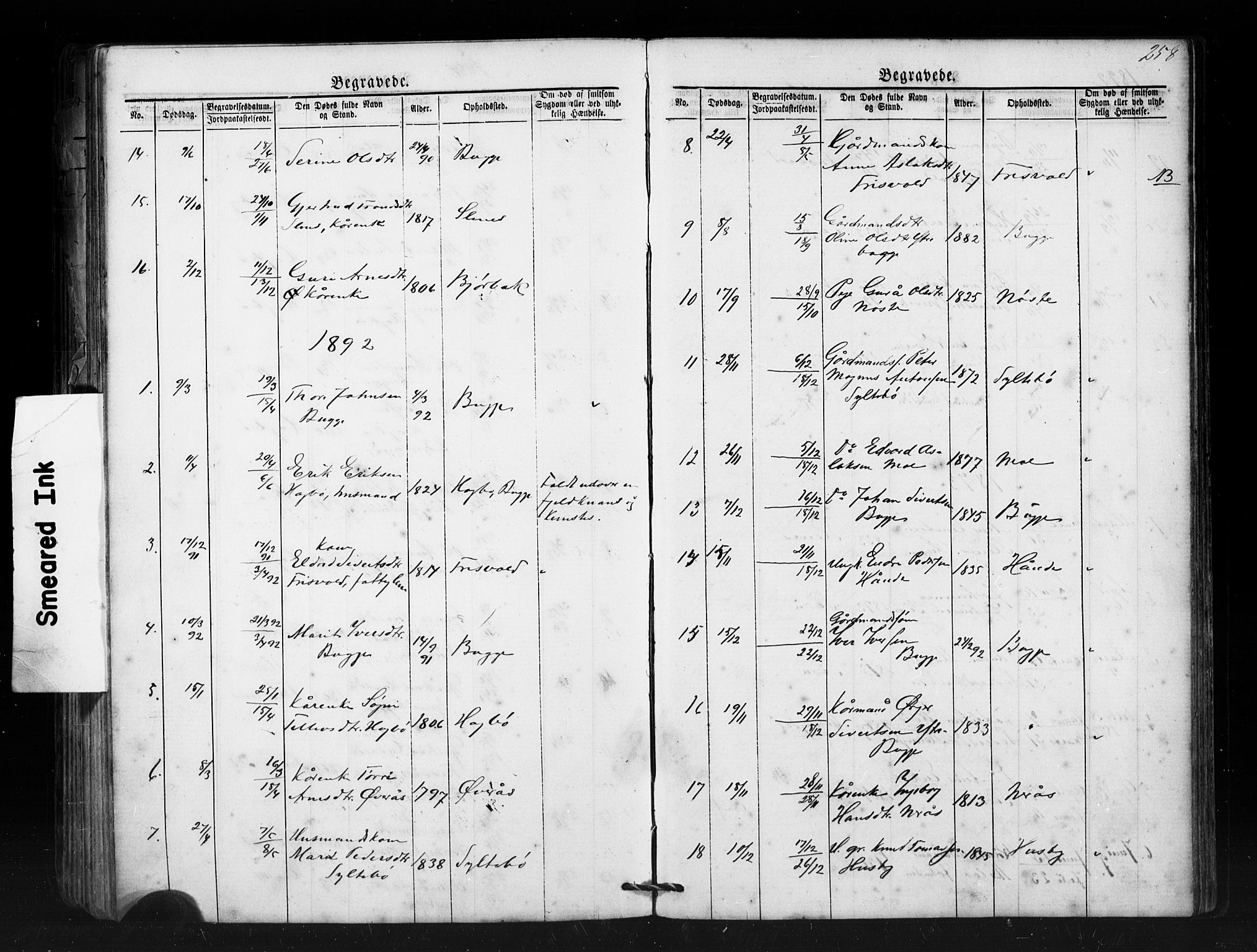 Ministerialprotokoller, klokkerbøker og fødselsregistre - Møre og Romsdal, SAT/A-1454/552/L0638: Parish register (copy) no. 552C01, 1867-1902, p. 258