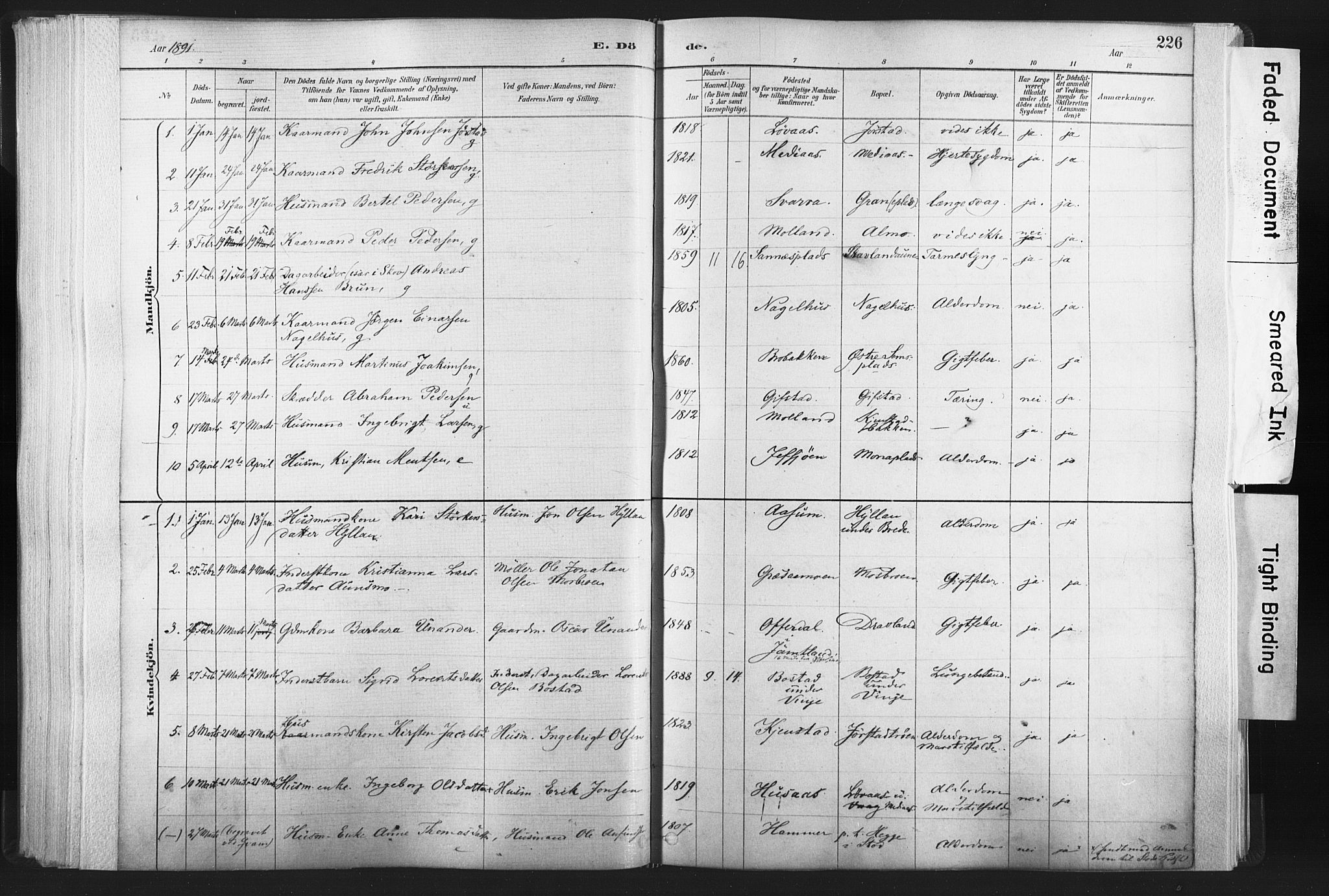 Ministerialprotokoller, klokkerbøker og fødselsregistre - Nord-Trøndelag, SAT/A-1458/749/L0474: Parish register (official) no. 749A08, 1887-1903, p. 226