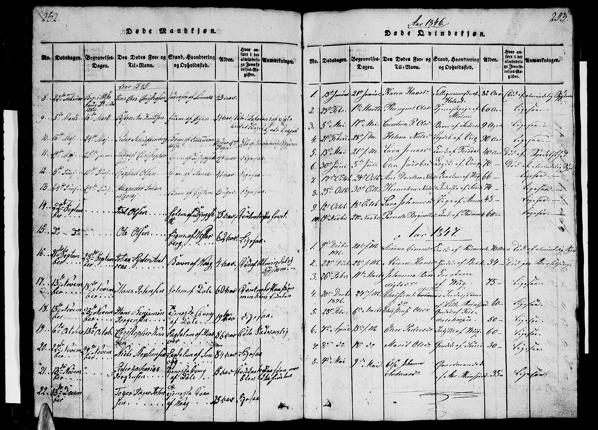 Ministerialprotokoller, klokkerbøker og fødselsregistre - Nordland, SAT/A-1459/812/L0186: Parish register (copy) no. 812C04, 1820-1849, p. 252-253