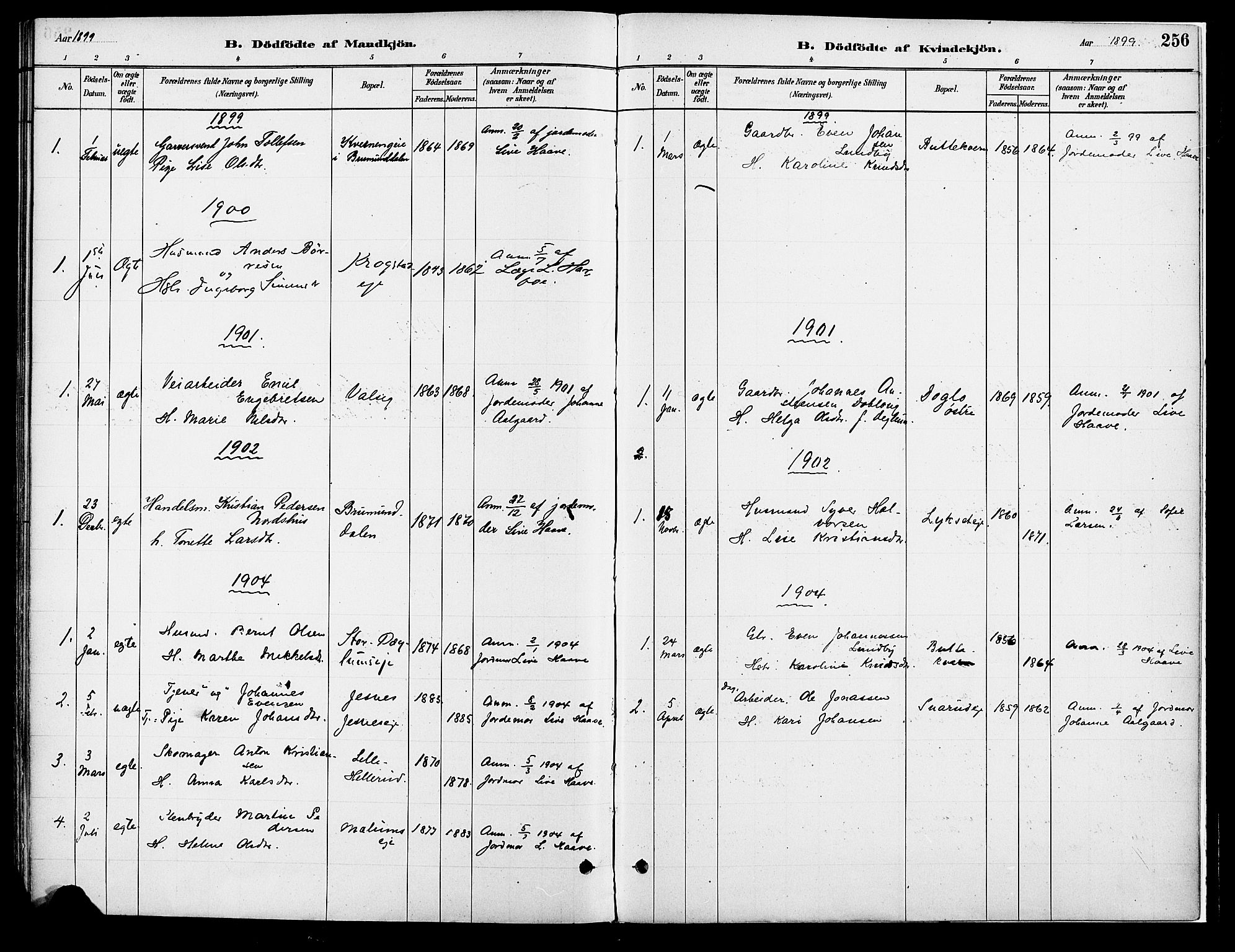 Vang prestekontor, Hedmark, SAH/PREST-008/H/Ha/Haa/L0018A: Parish register (official) no. 18A, 1880-1906, p. 256