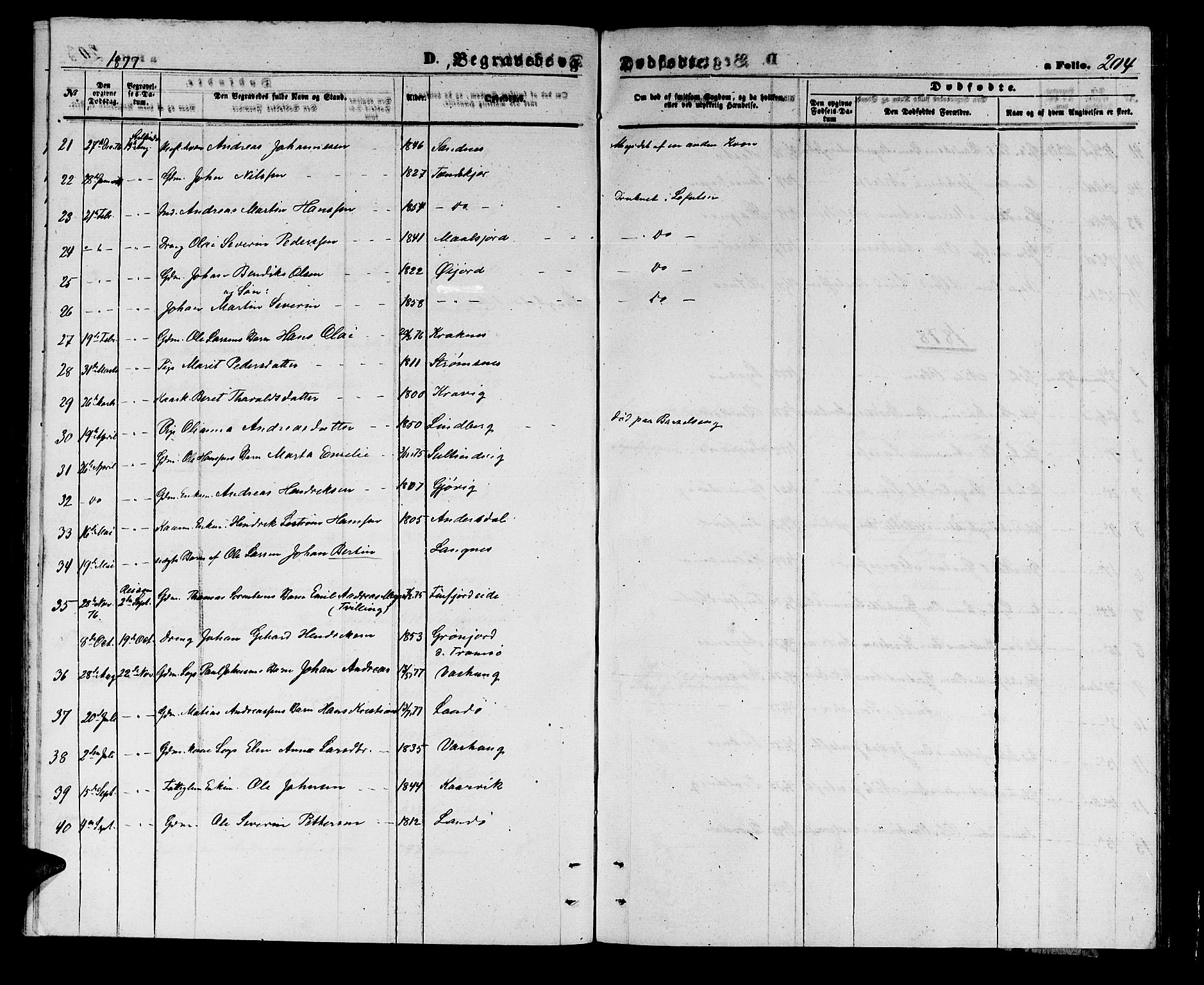 Lenvik sokneprestembete, SATØ/S-1310/H/Ha/Hab/L0005klokker: Parish register (copy) no. 5, 1870-1880, p. 204