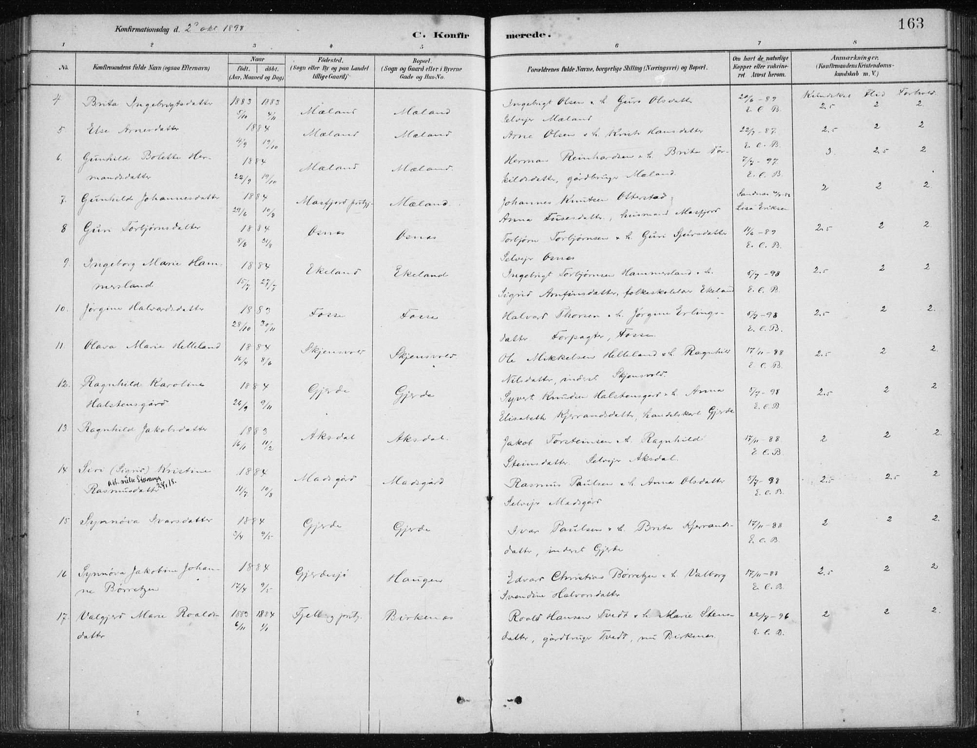Etne sokneprestembete, SAB/A-75001/H/Haa: Parish register (official) no. C  1, 1879-1919, p. 163