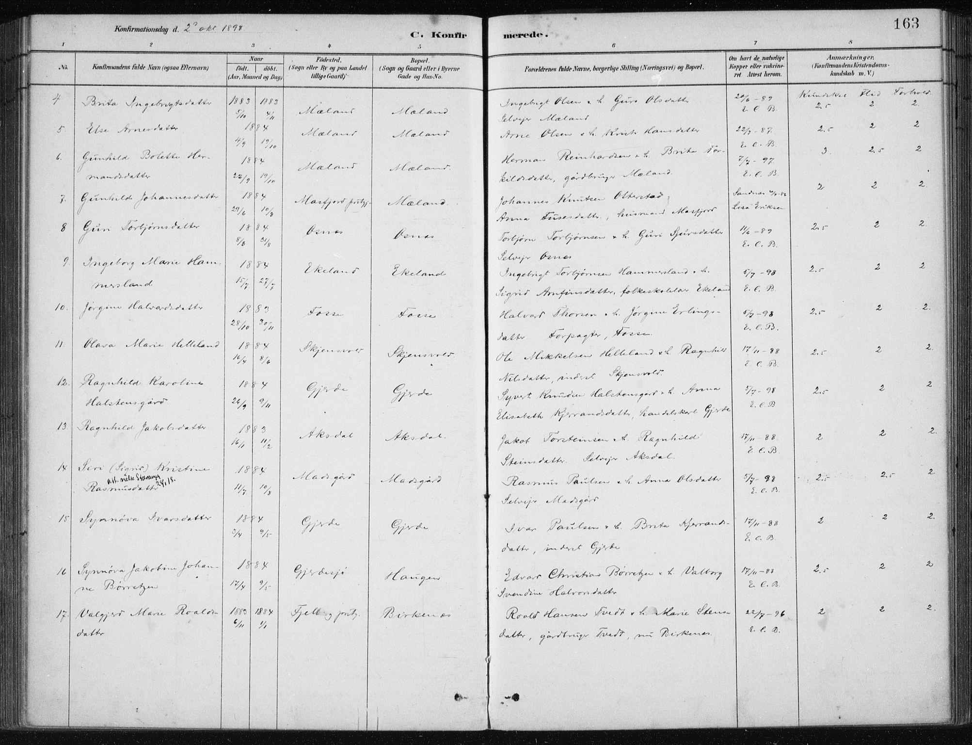 Etne sokneprestembete, AV/SAB-A-75001/H/Haa: Parish register (official) no. C  1, 1879-1919, p. 163