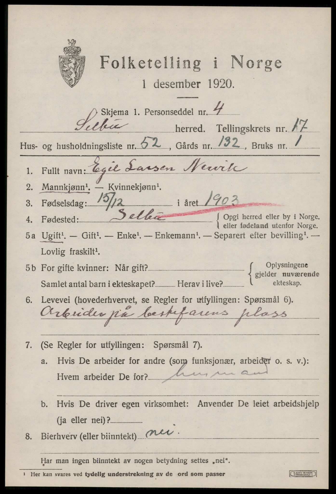 SAT, 1920 census for Selbu, 1920, p. 9436