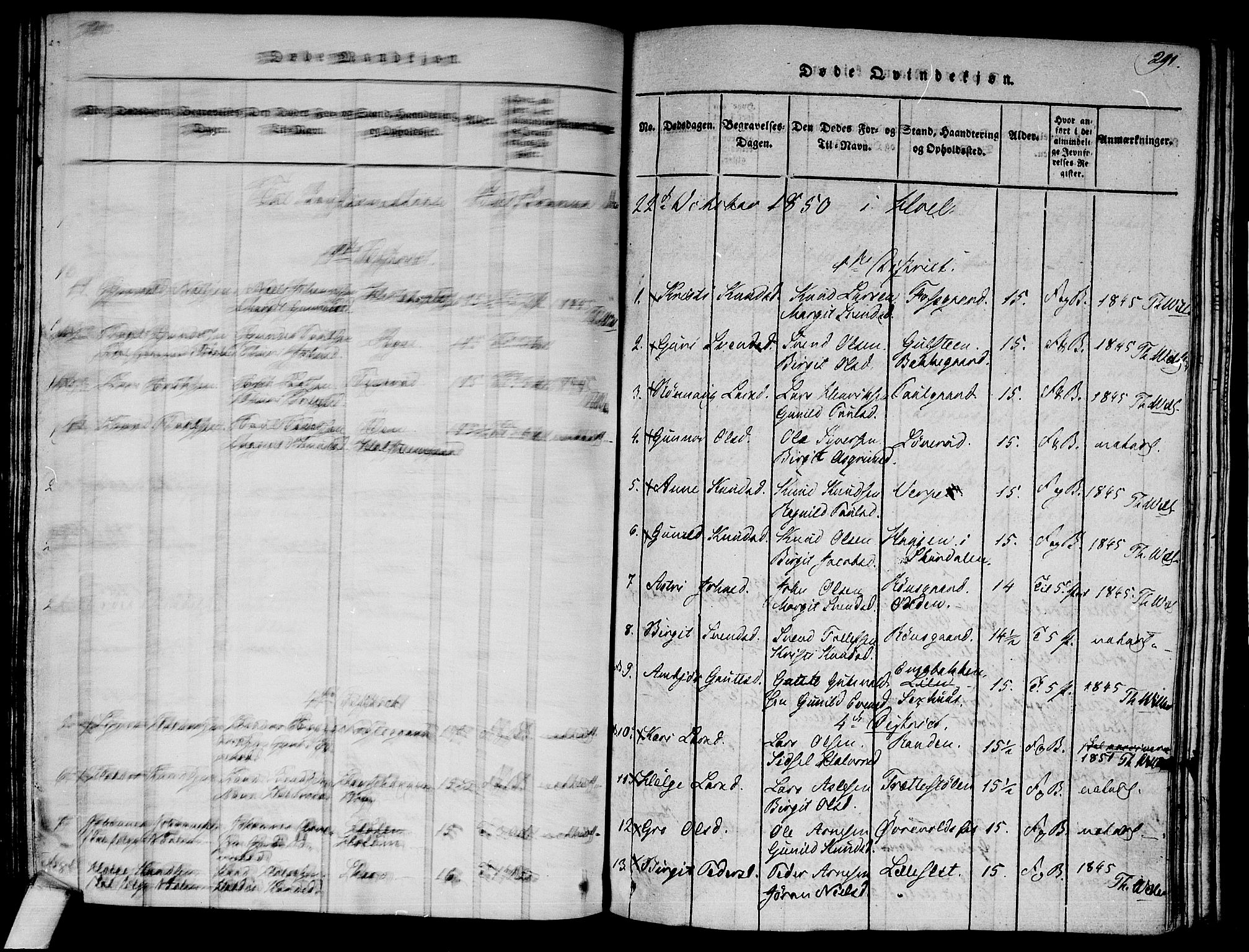 Ål kirkebøker, AV/SAKO-A-249/F/Fa/L0004: Parish register (official) no. I 4, 1815-1825, p. 290-291