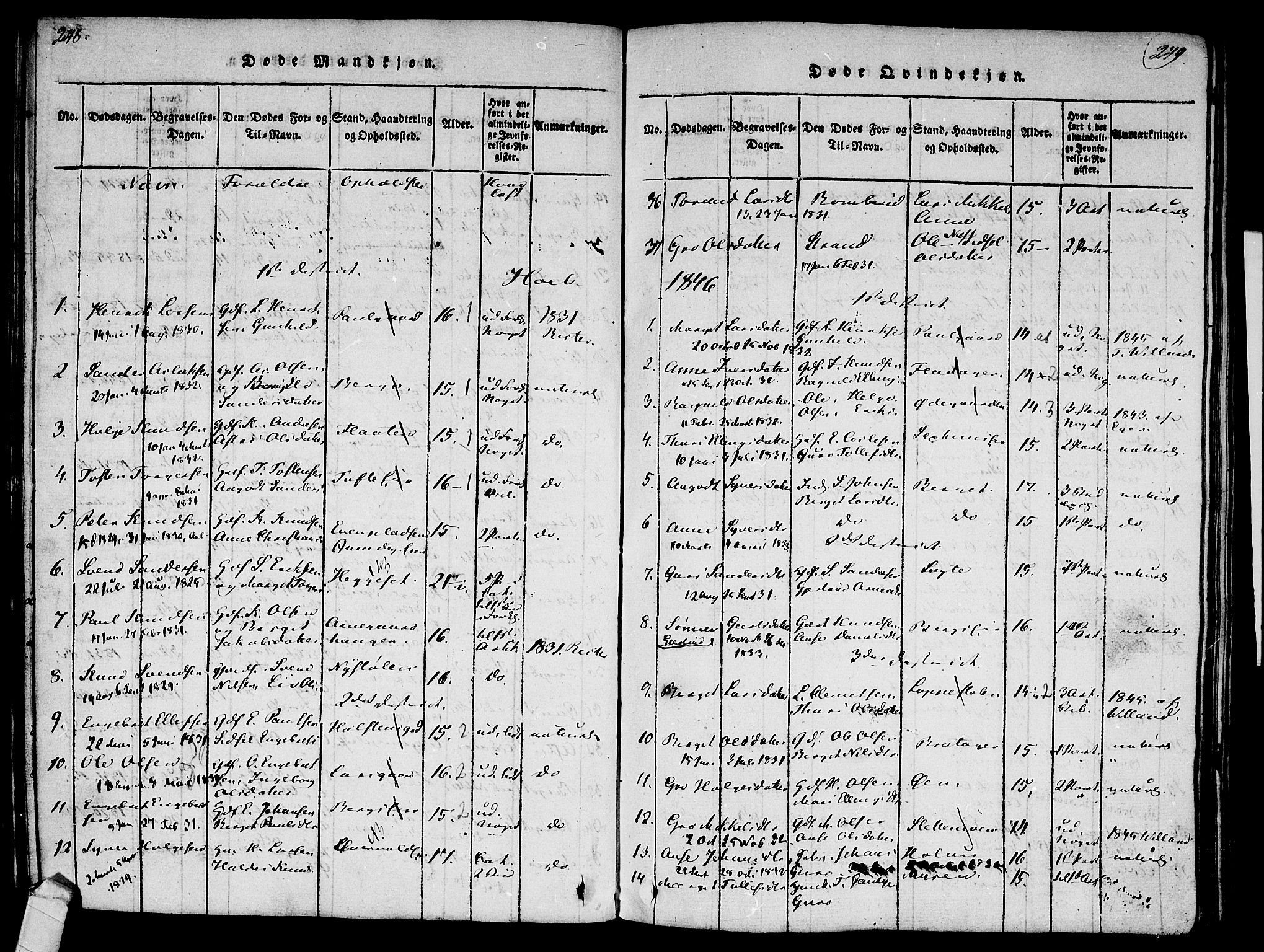 Ål kirkebøker, AV/SAKO-A-249/F/Fa/L0004: Parish register (official) no. I 4, 1815-1825, p. 248-249