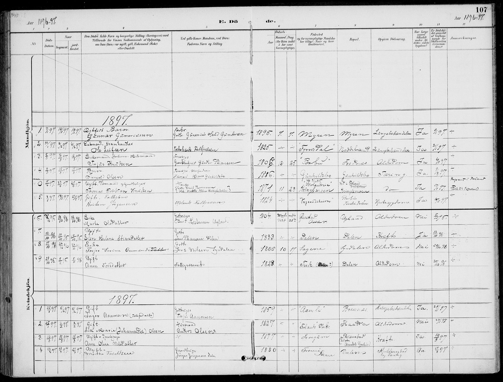 Austre Moland sokneprestkontor, SAK/1111-0001/F/Fa/Faa/L0011: Parish register (official) no. A 11, 1894-1915, p. 107