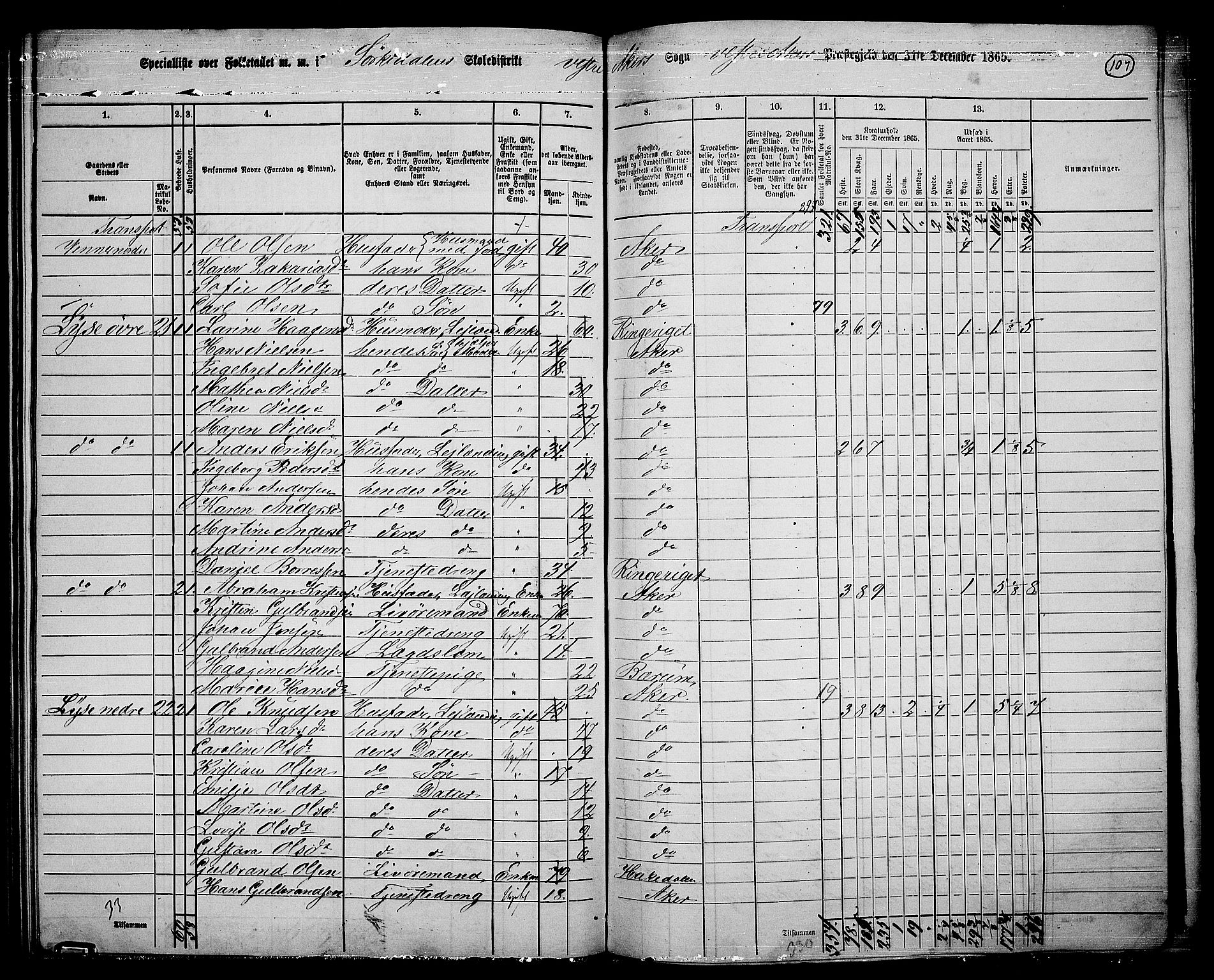 RA, 1865 census for Vestre Aker, 1865, p. 100