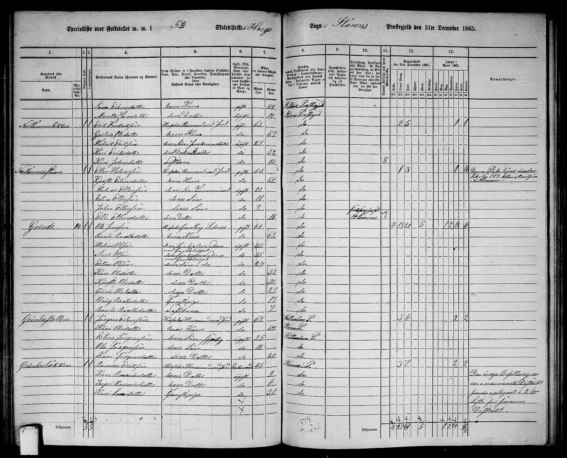 RA, 1865 census for Støren, 1865, p. 194