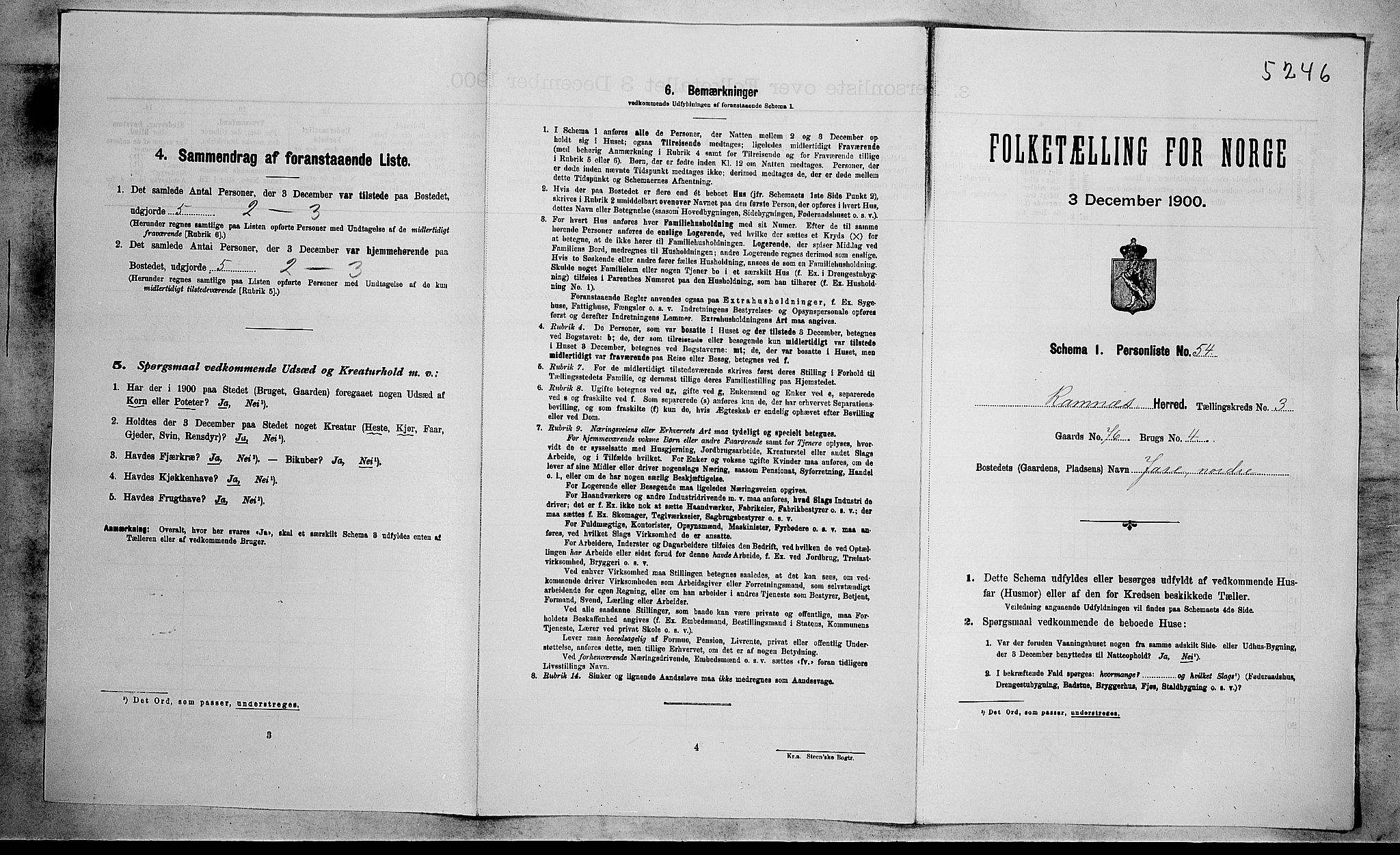 RA, 1900 census for Ramnes, 1900, p. 117